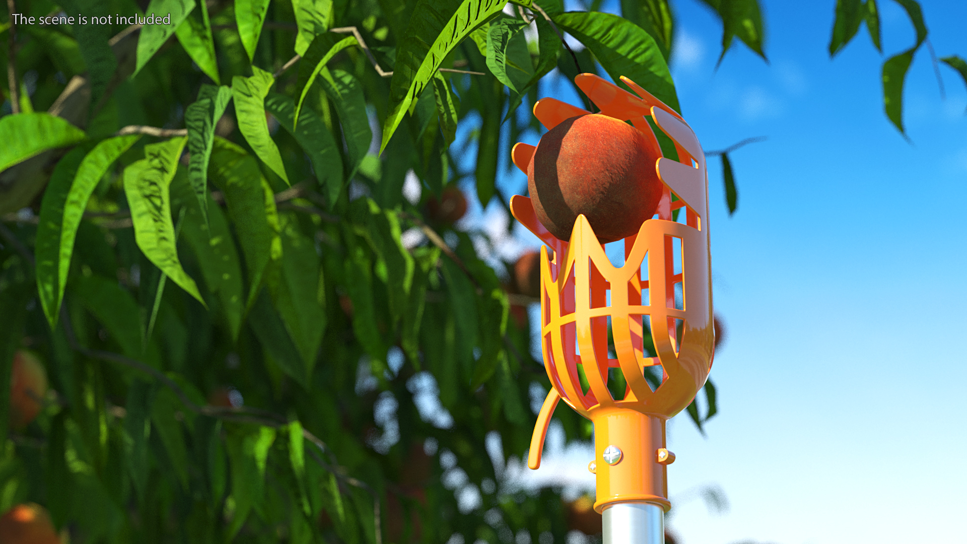 Fruit Picker Pole with Plastic Basket 3D