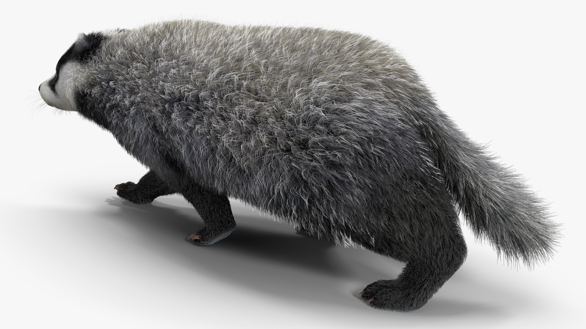 Walking Badger 3D model