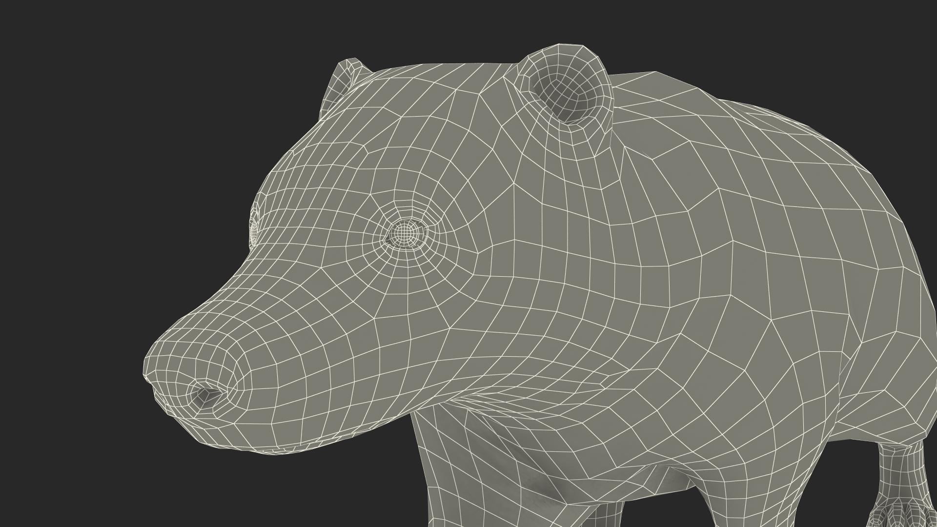 Walking Badger 3D model