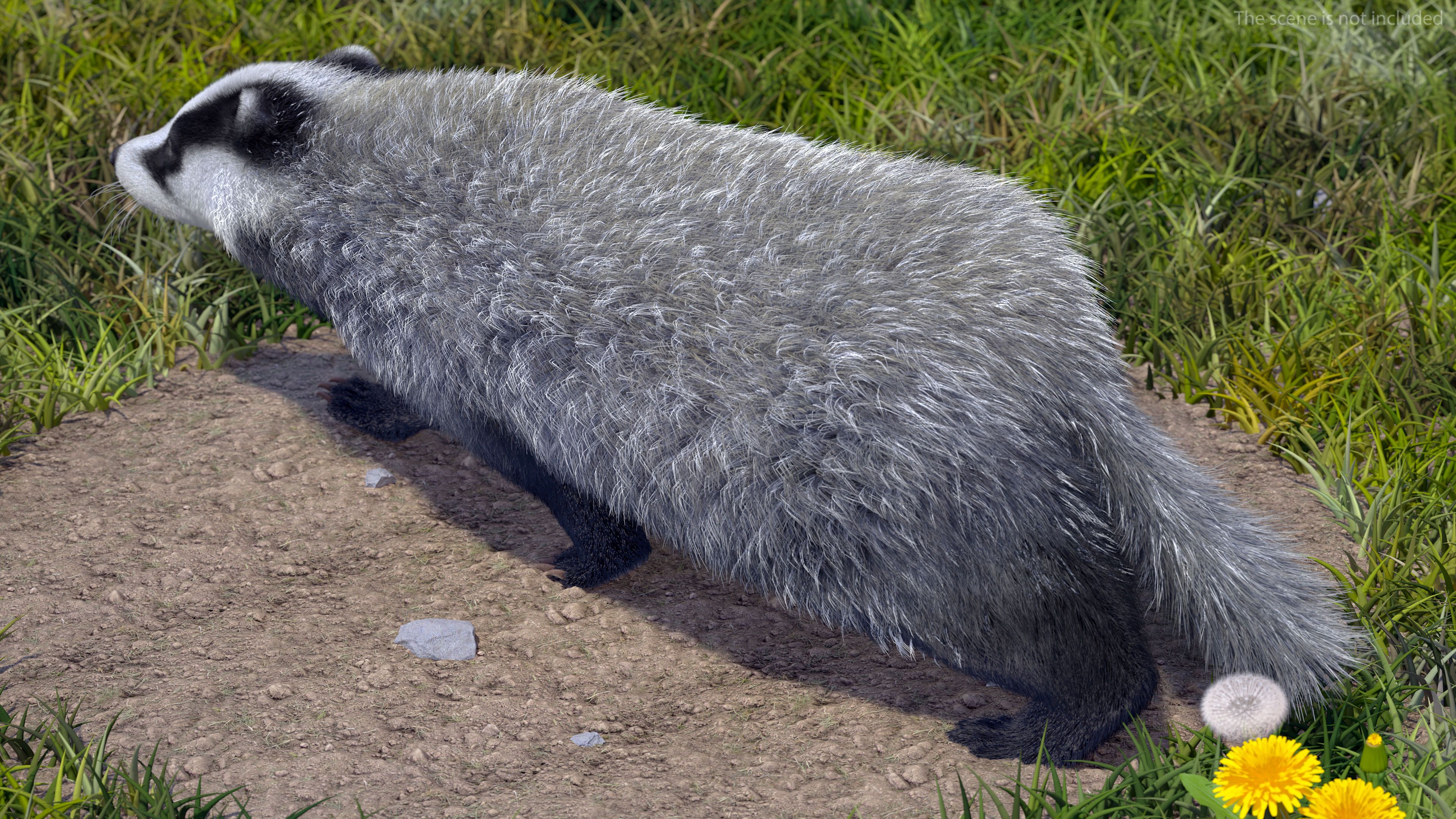 Walking Badger 3D model