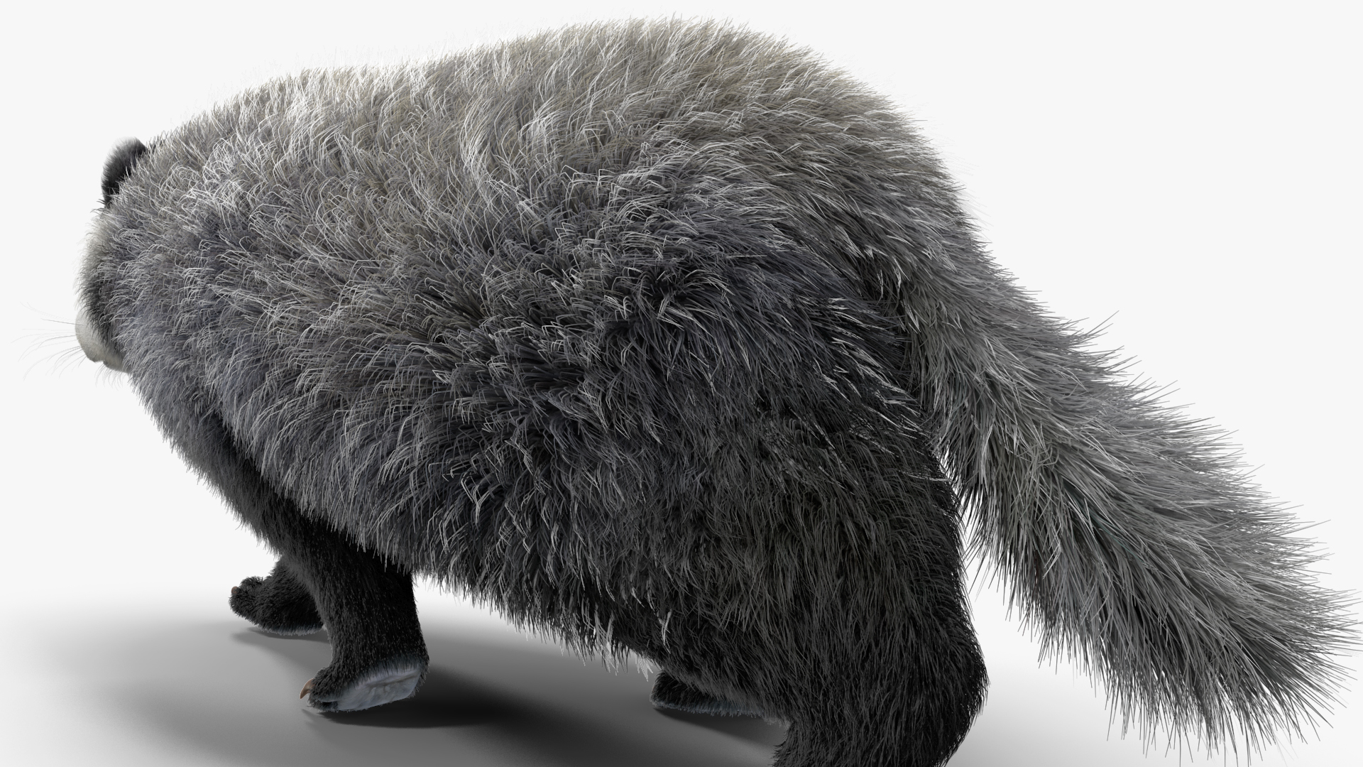 Walking Badger 3D model