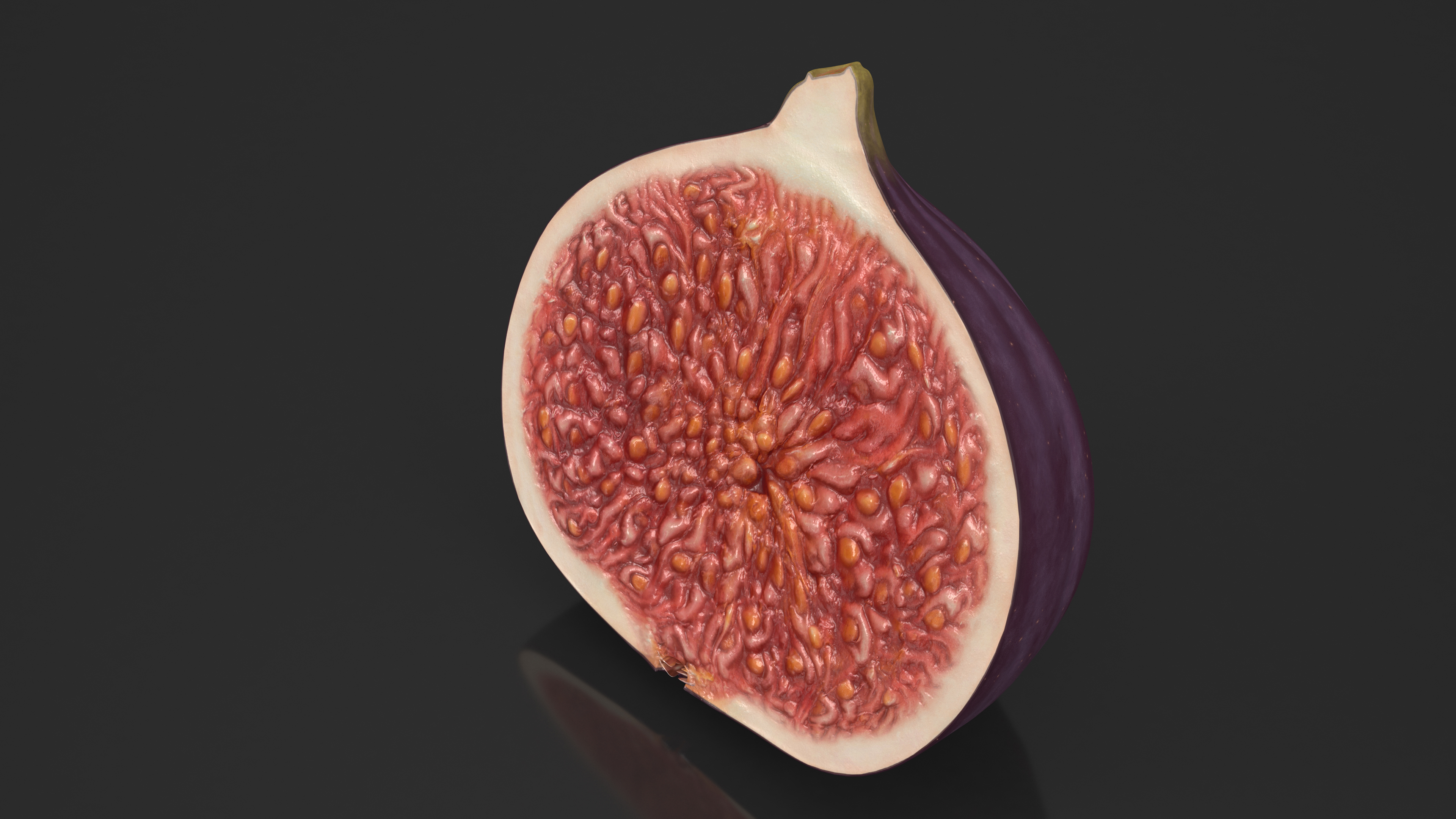 3D Black Mission Fig Fruit Half model