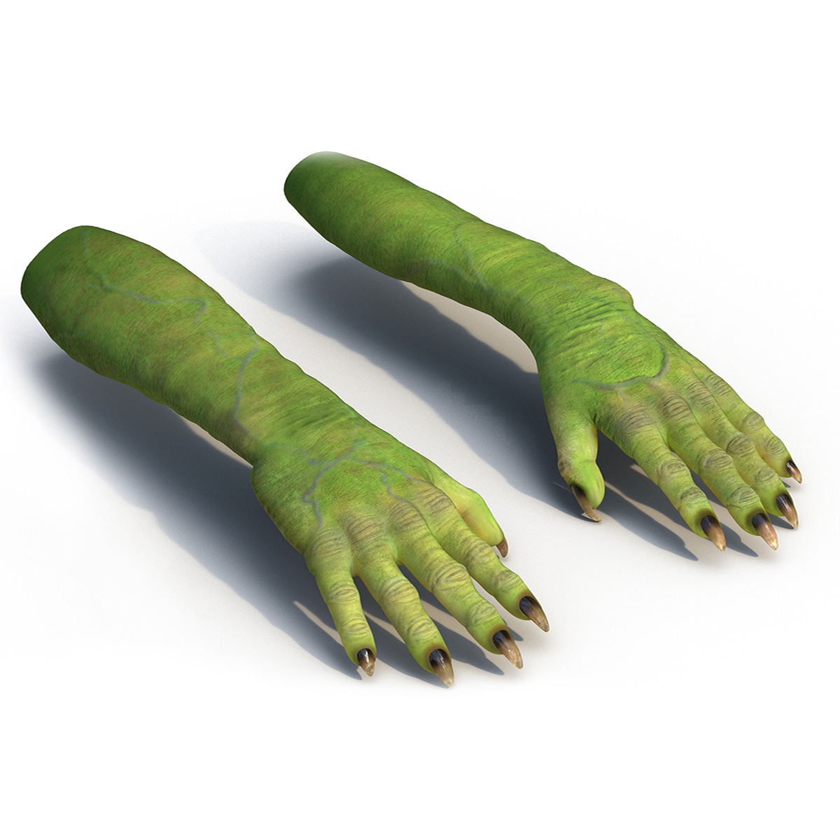 Witch Hands Rigged for Cinema 4D 3D