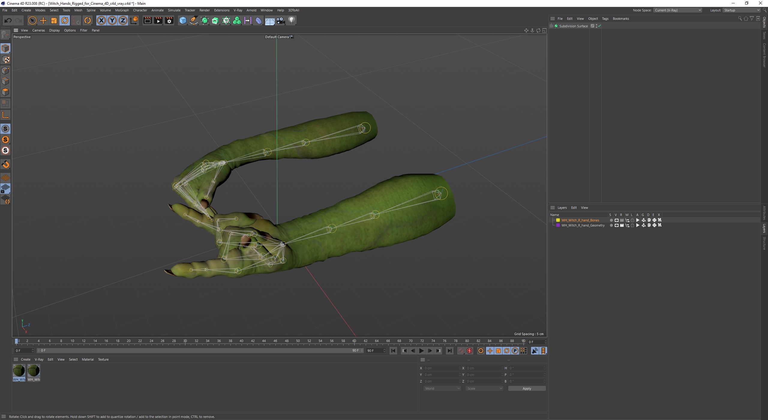 Witch Hands Rigged for Cinema 4D 3D