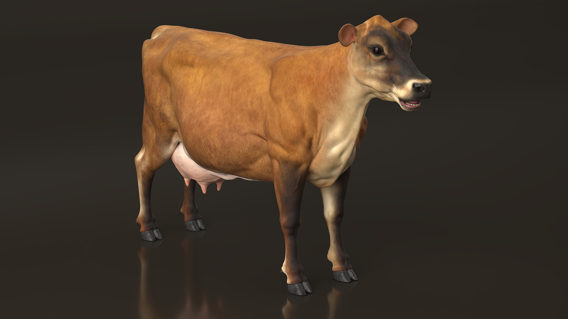 3D Jersey Dairy Cow Rigged model