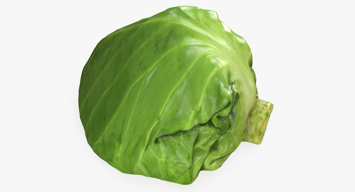 Cabbage Half 3D