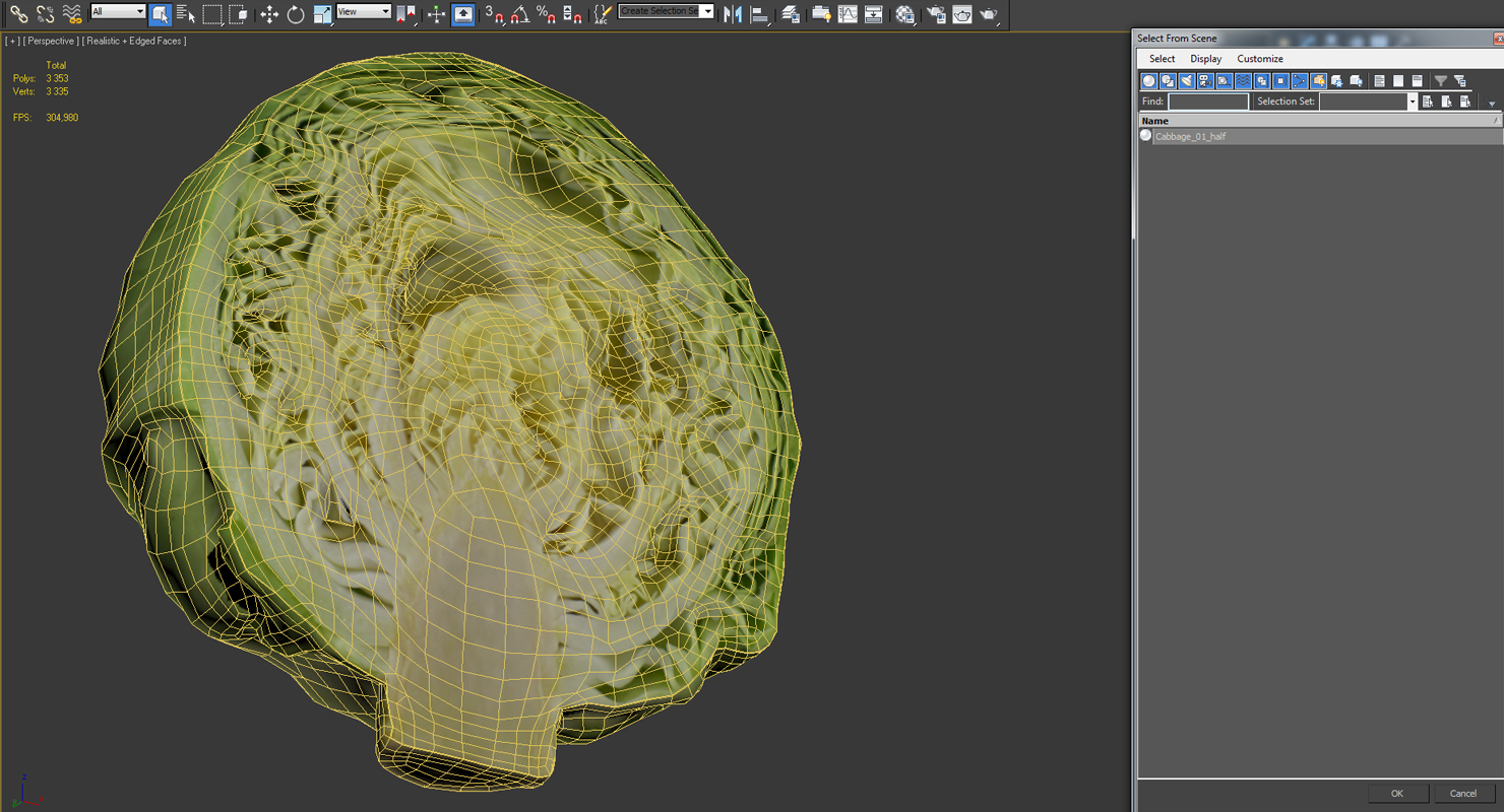 Cabbage Half 3D