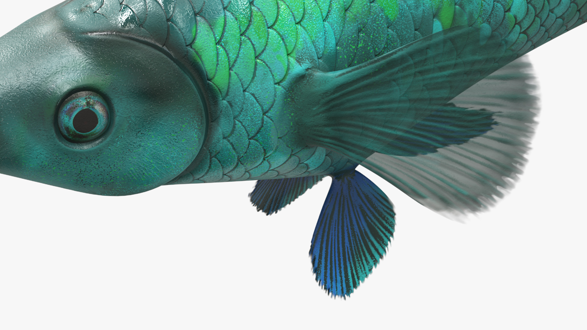 3D model Guppy Fish Malachite