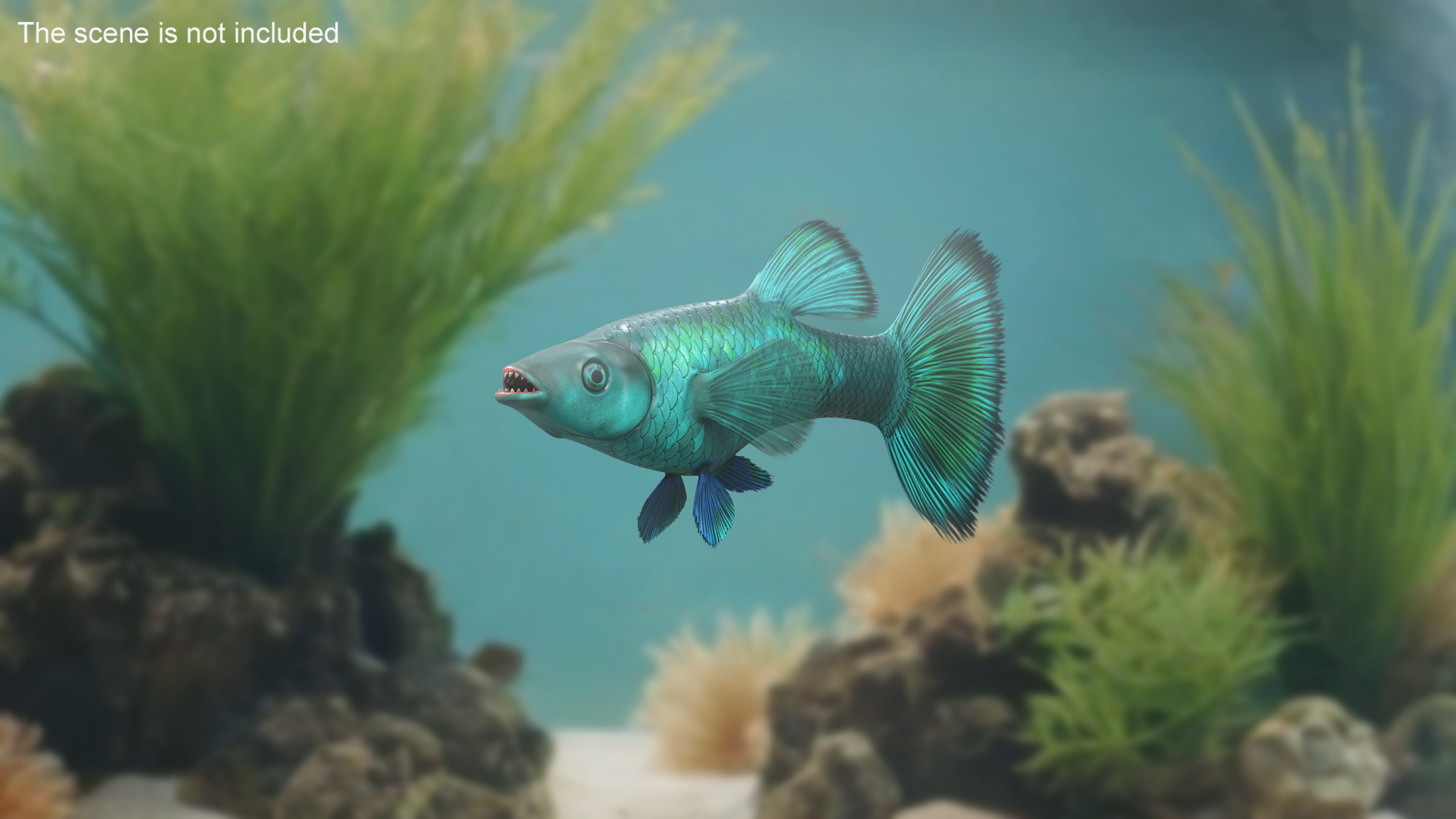 3D model Guppy Fish Malachite