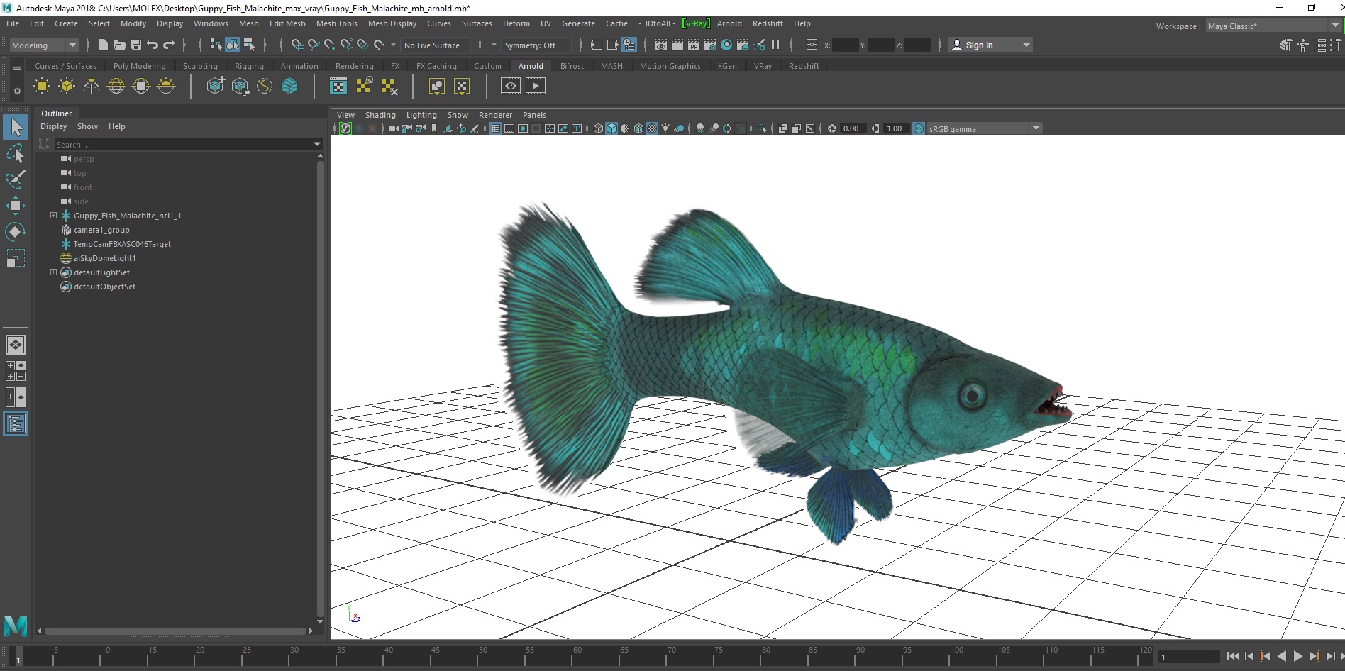 3D model Guppy Fish Malachite