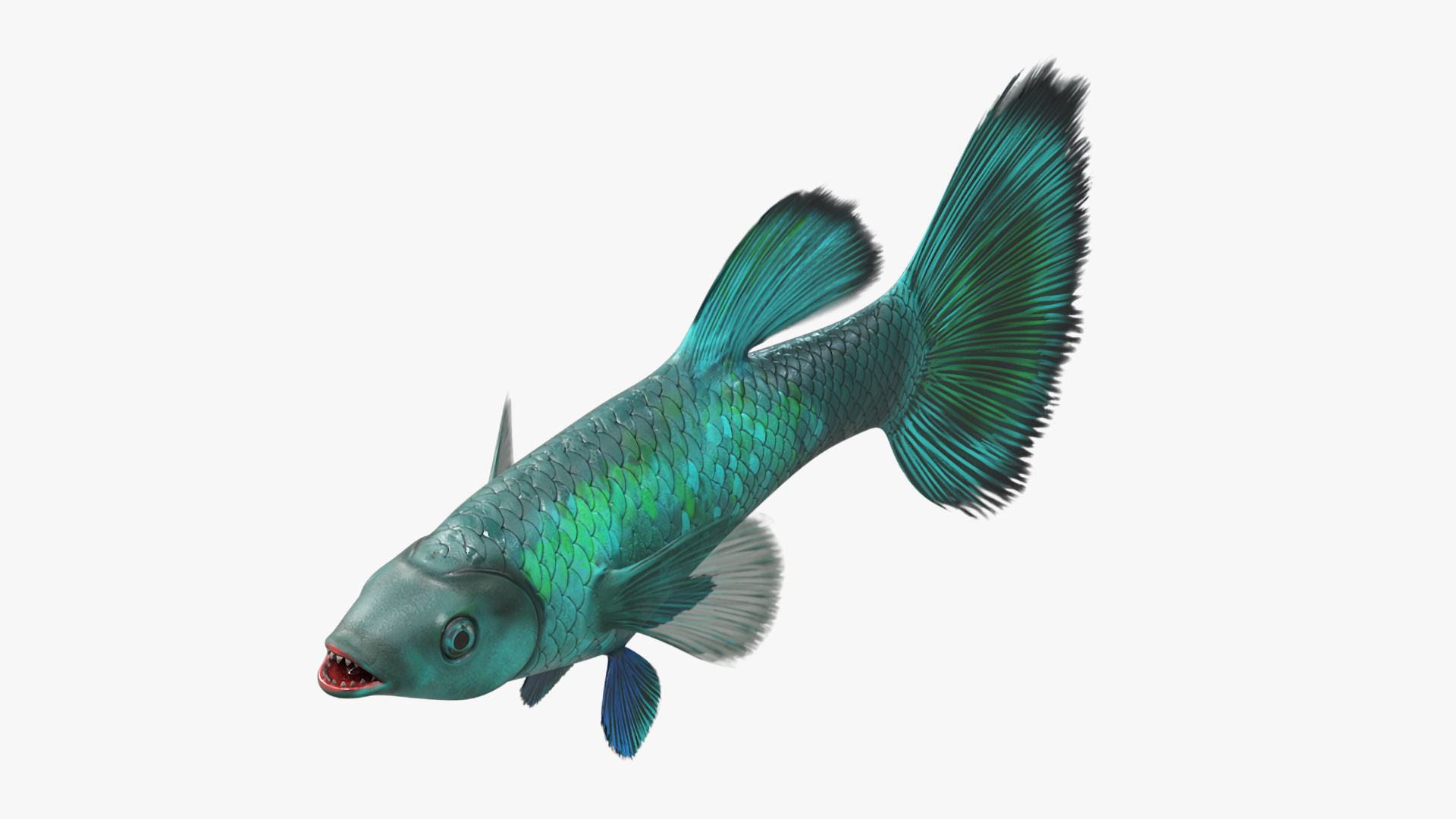 3D model Guppy Fish Malachite