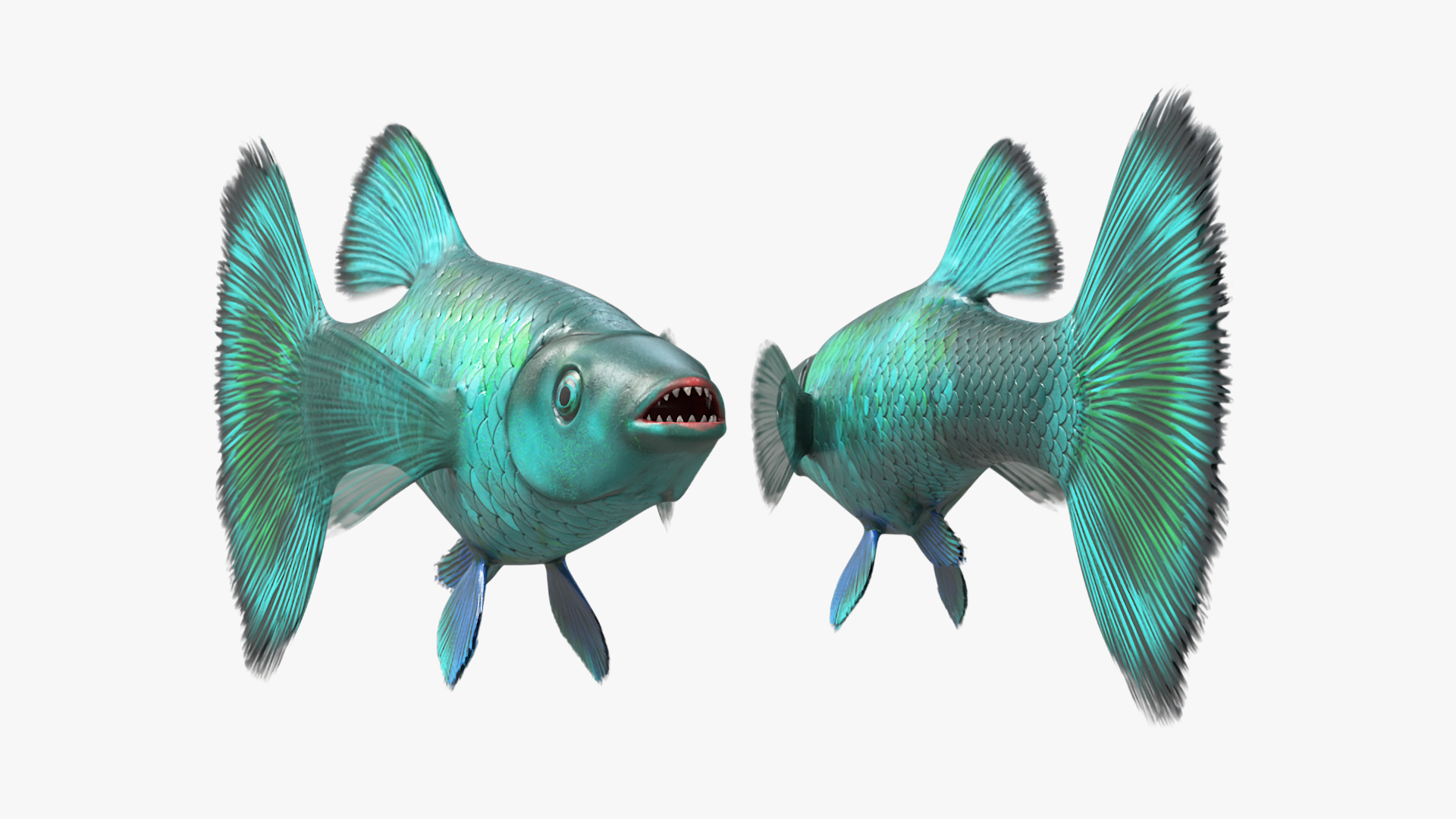 3D model Guppy Fish Malachite