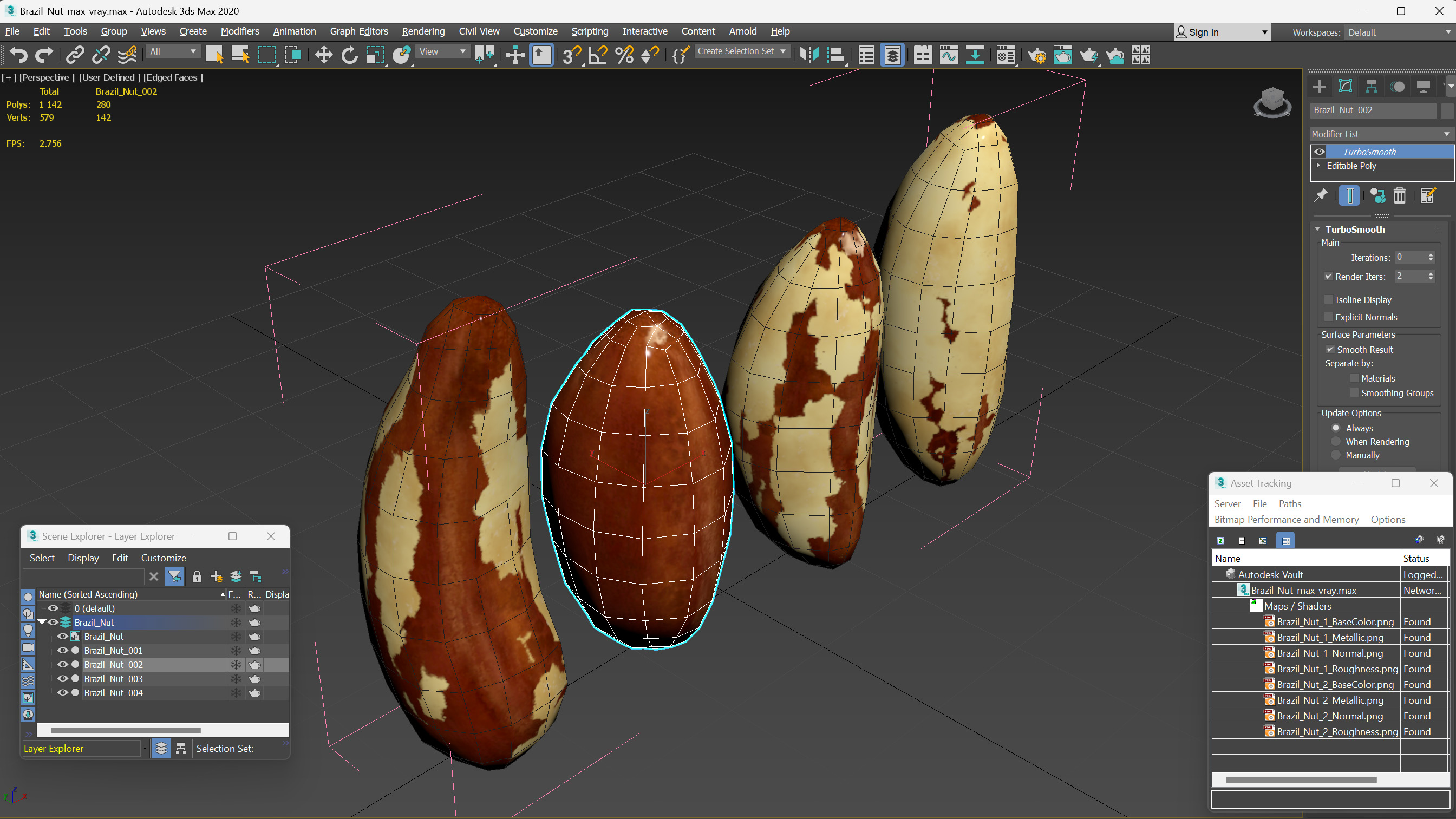 3D model Brazil Nut