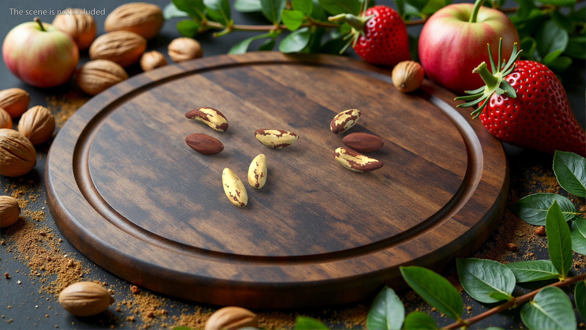 3D model Brazil Nut