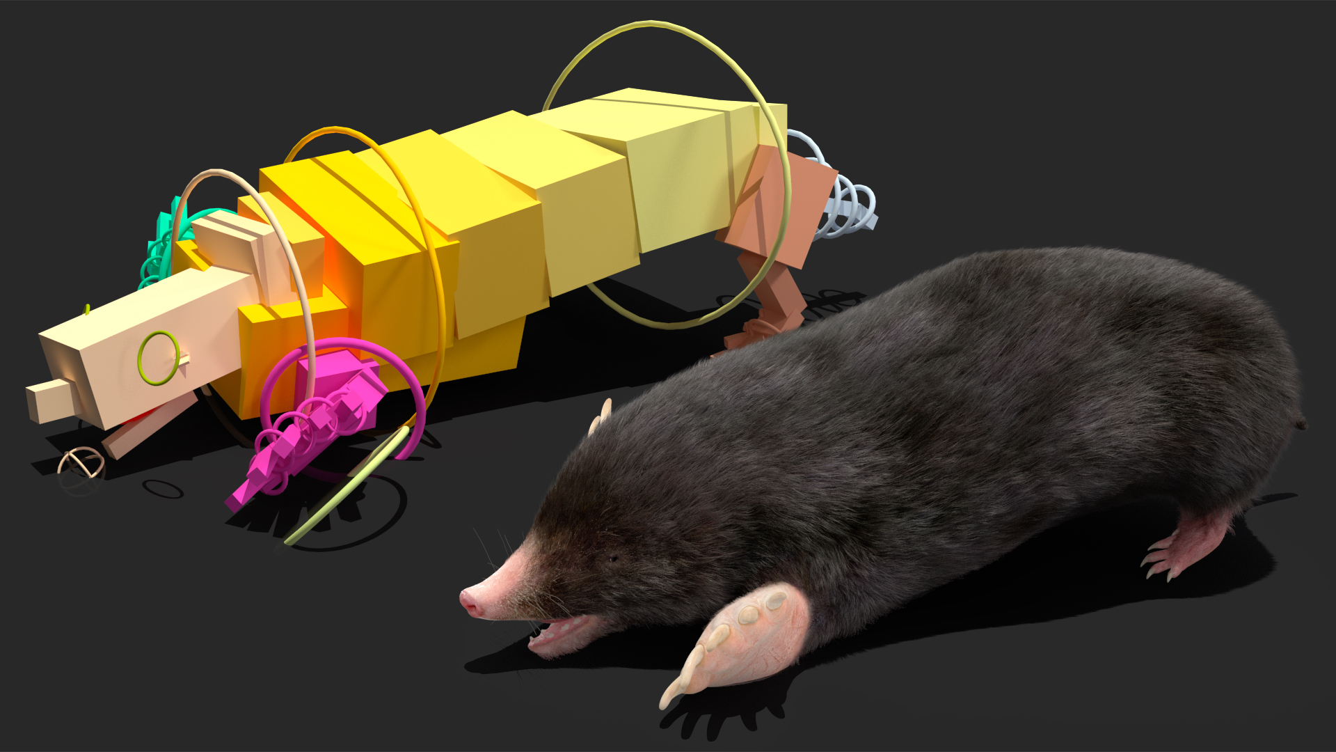 Mole Animal Fur Rigged 3D