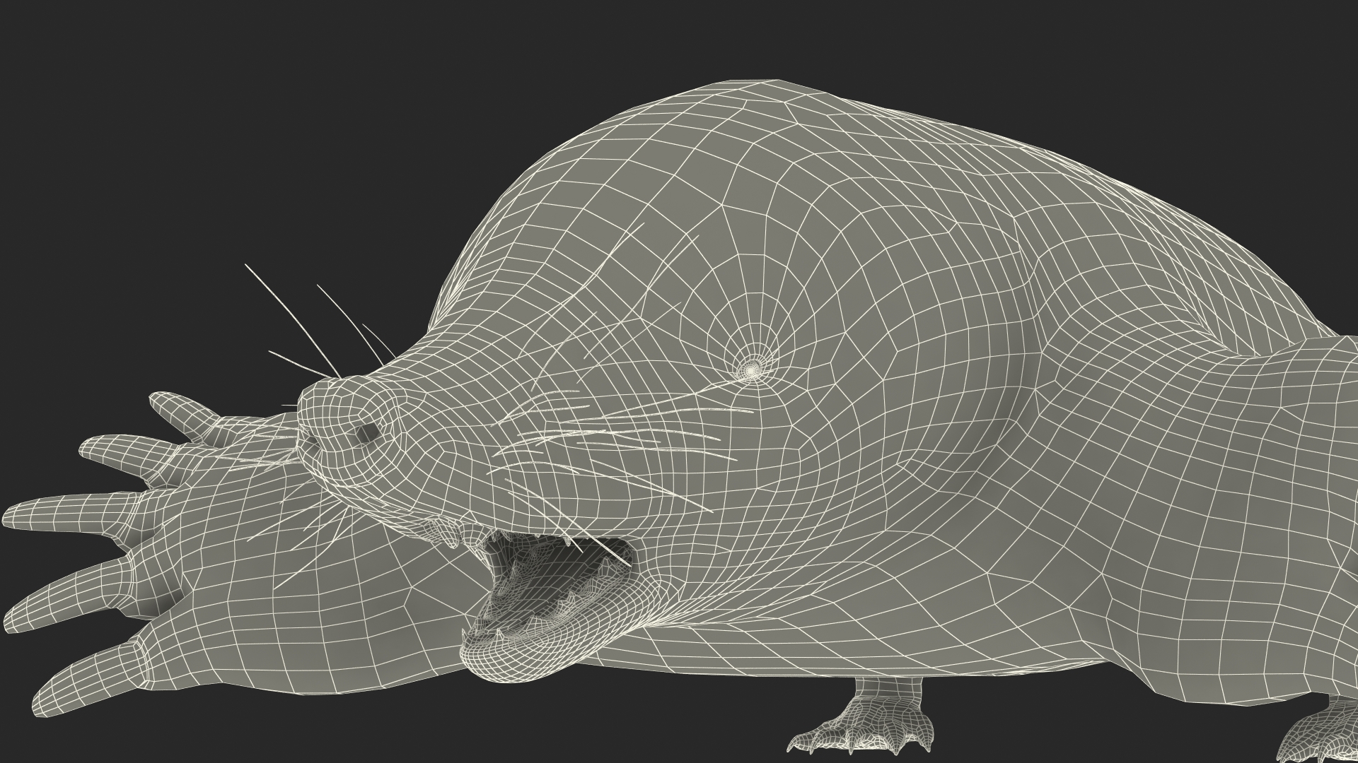 Mole Animal Fur Rigged 3D