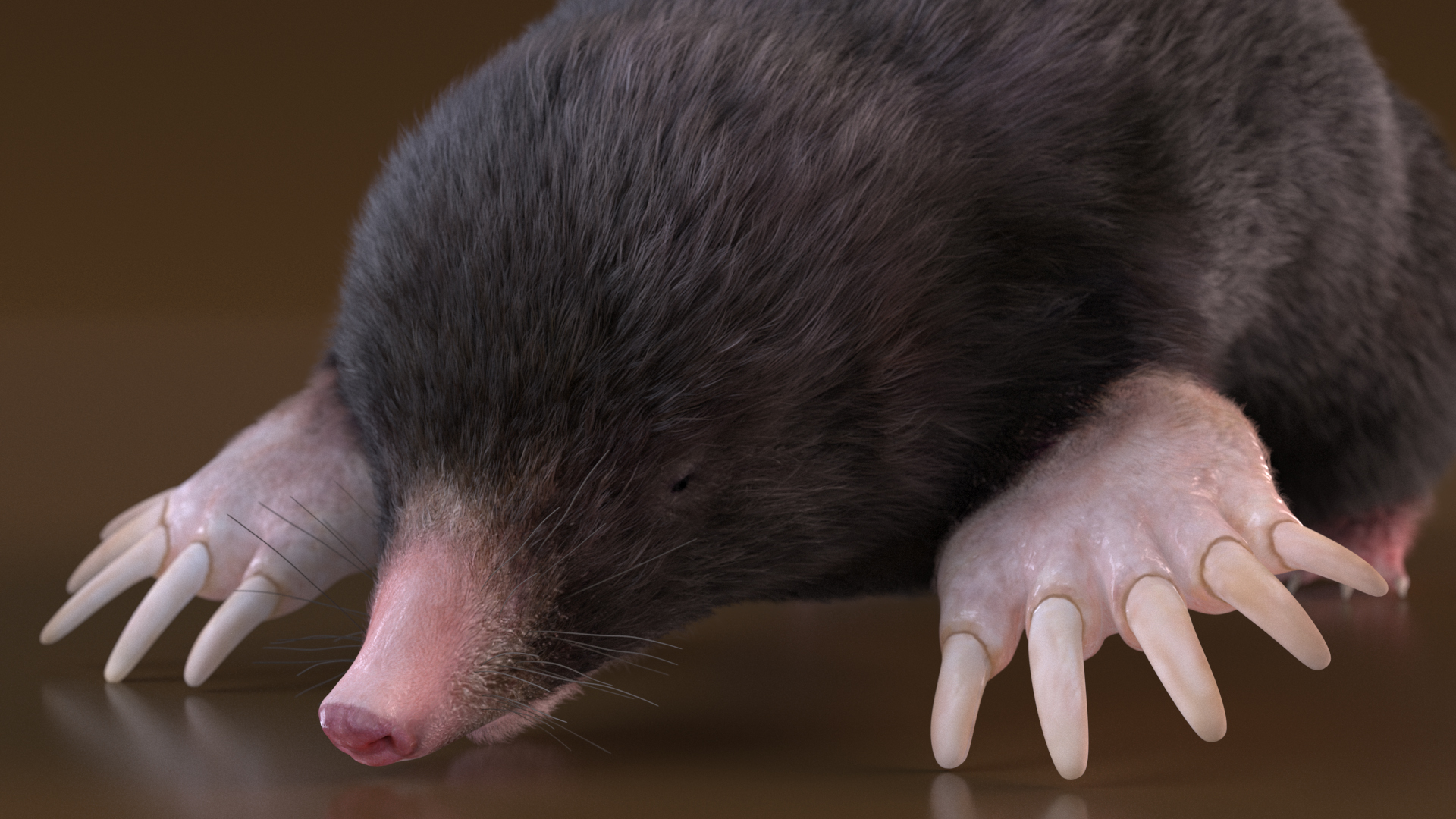 Mole Animal Fur Rigged 3D