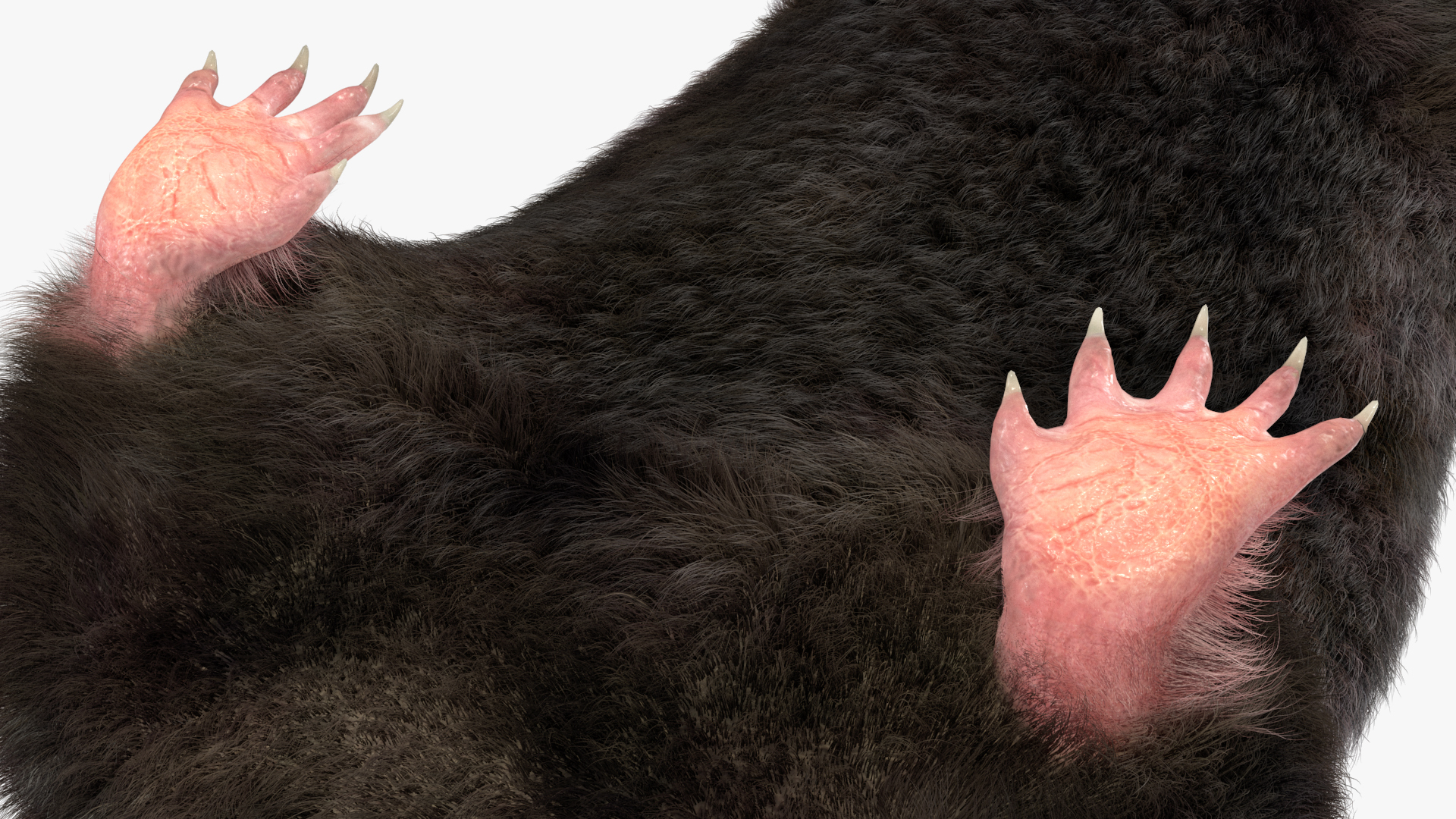 Mole Animal Fur Rigged 3D