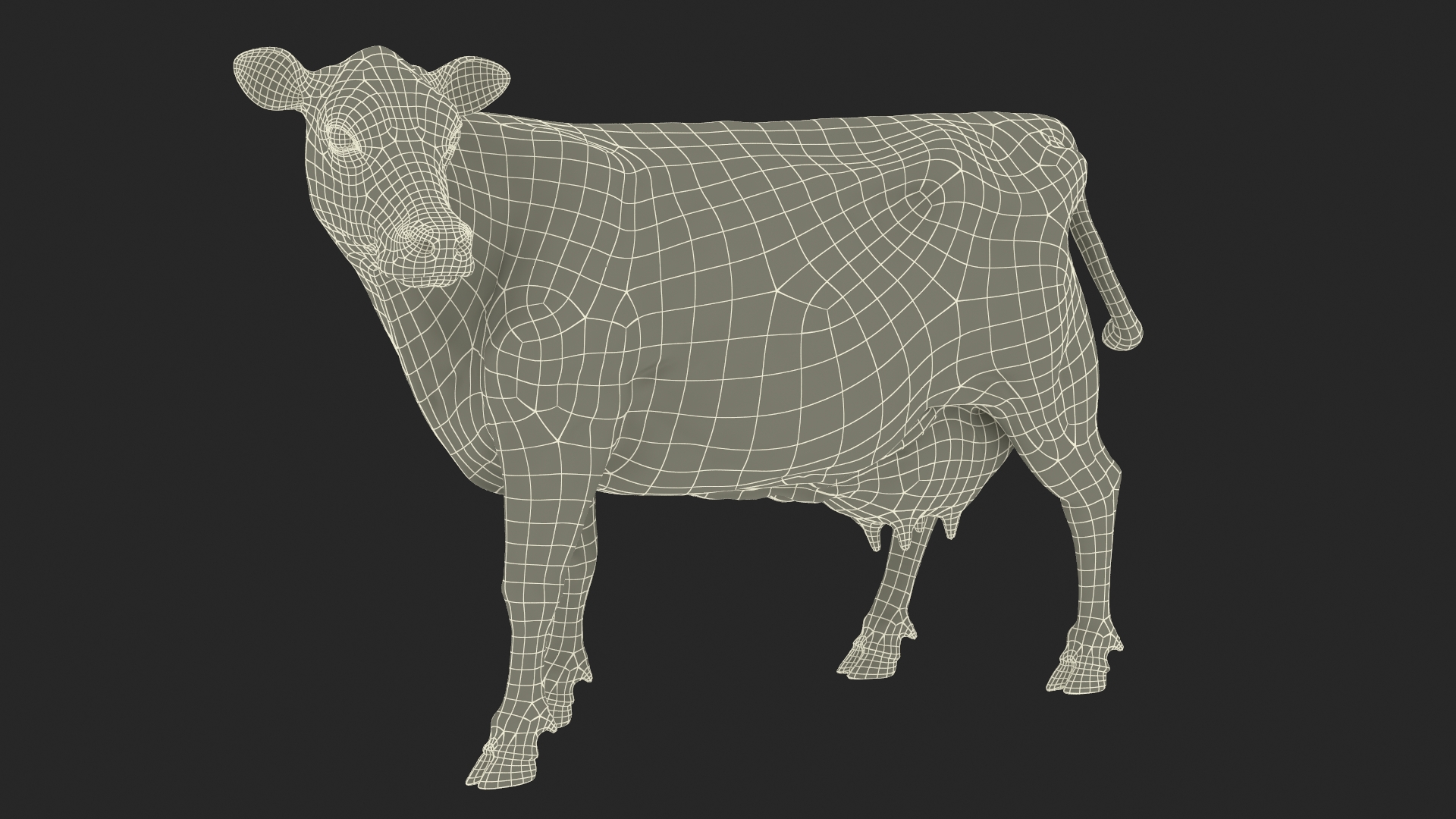 3D Channel Island Cow Beige Fur model