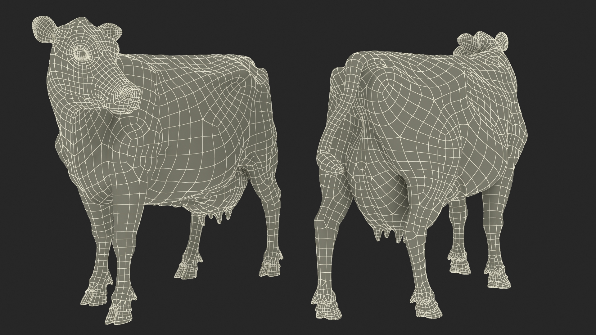 3D Channel Island Cow Beige Fur model