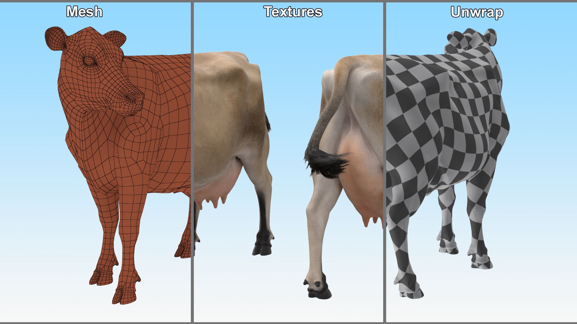 3D Channel Island Cow Beige Fur model