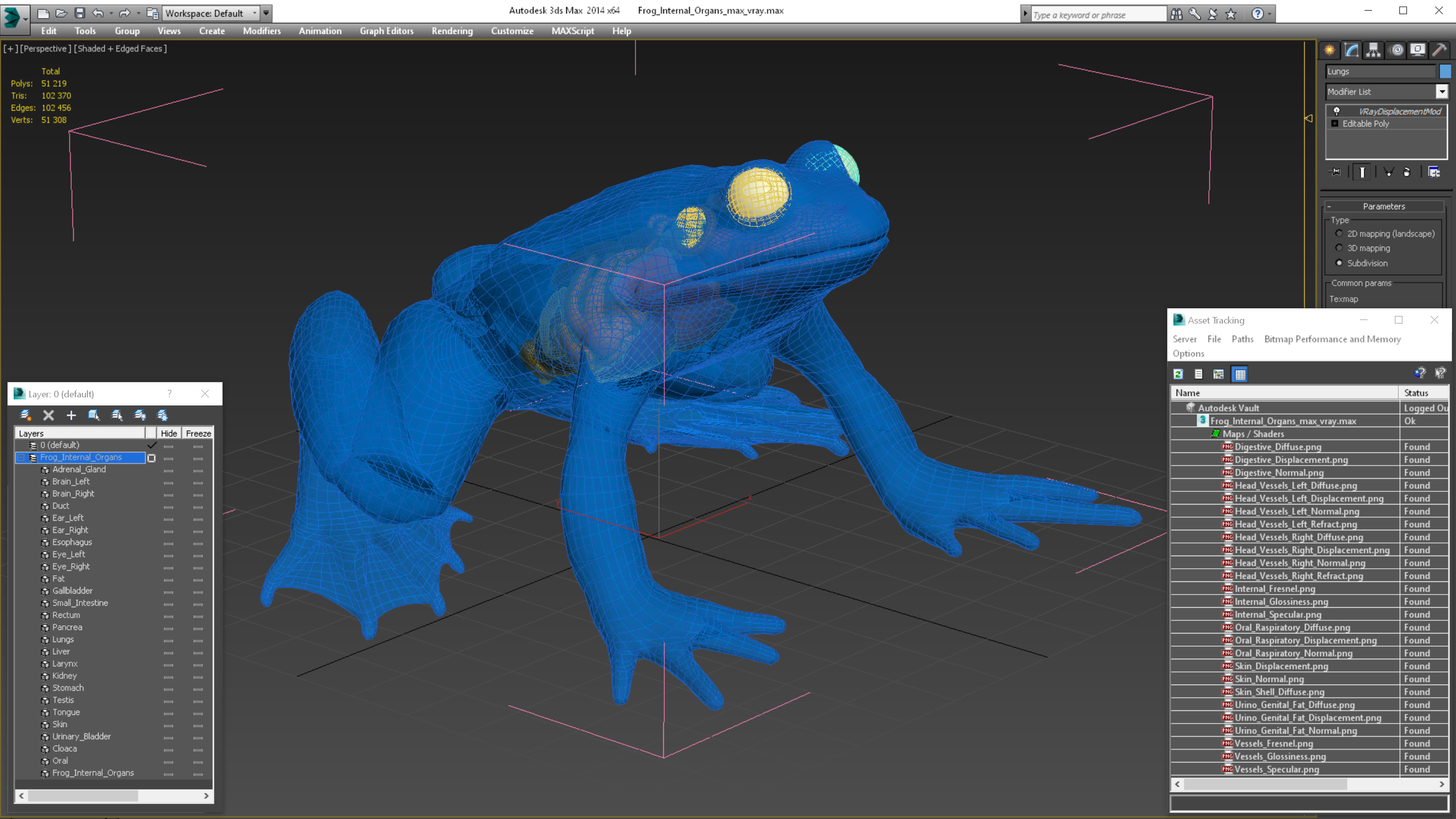 3D model Frog Internal Organs