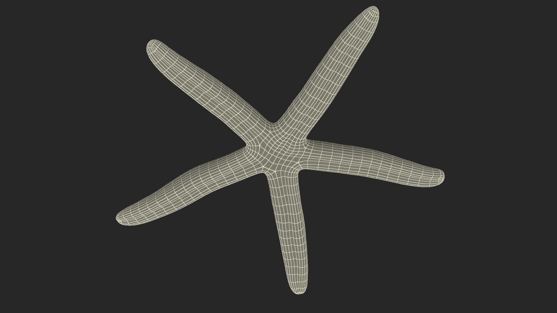 3D Blue Sea Star model