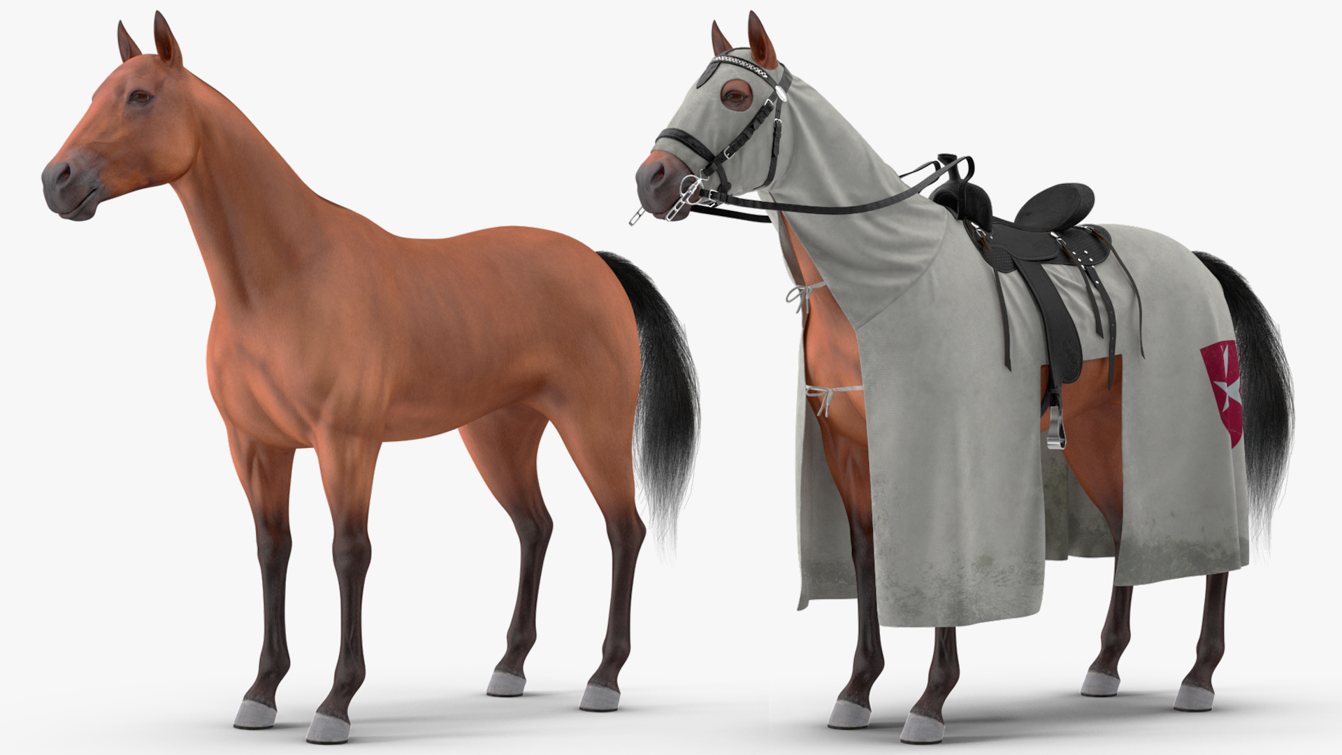 Crusader Horse Armor Dirt Fur 3D model