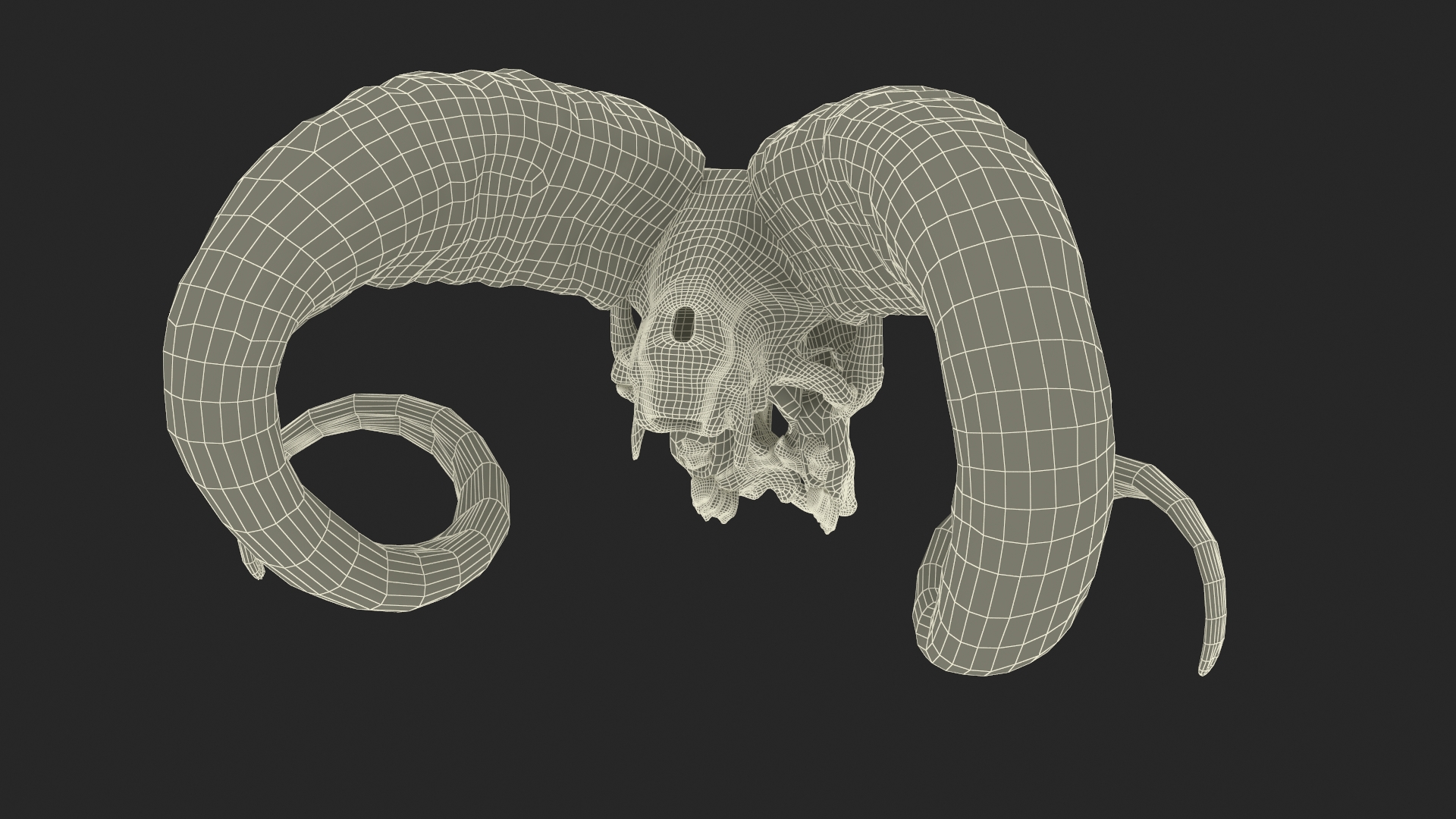 3D Bighorn Ram Skull with Twisted Horns