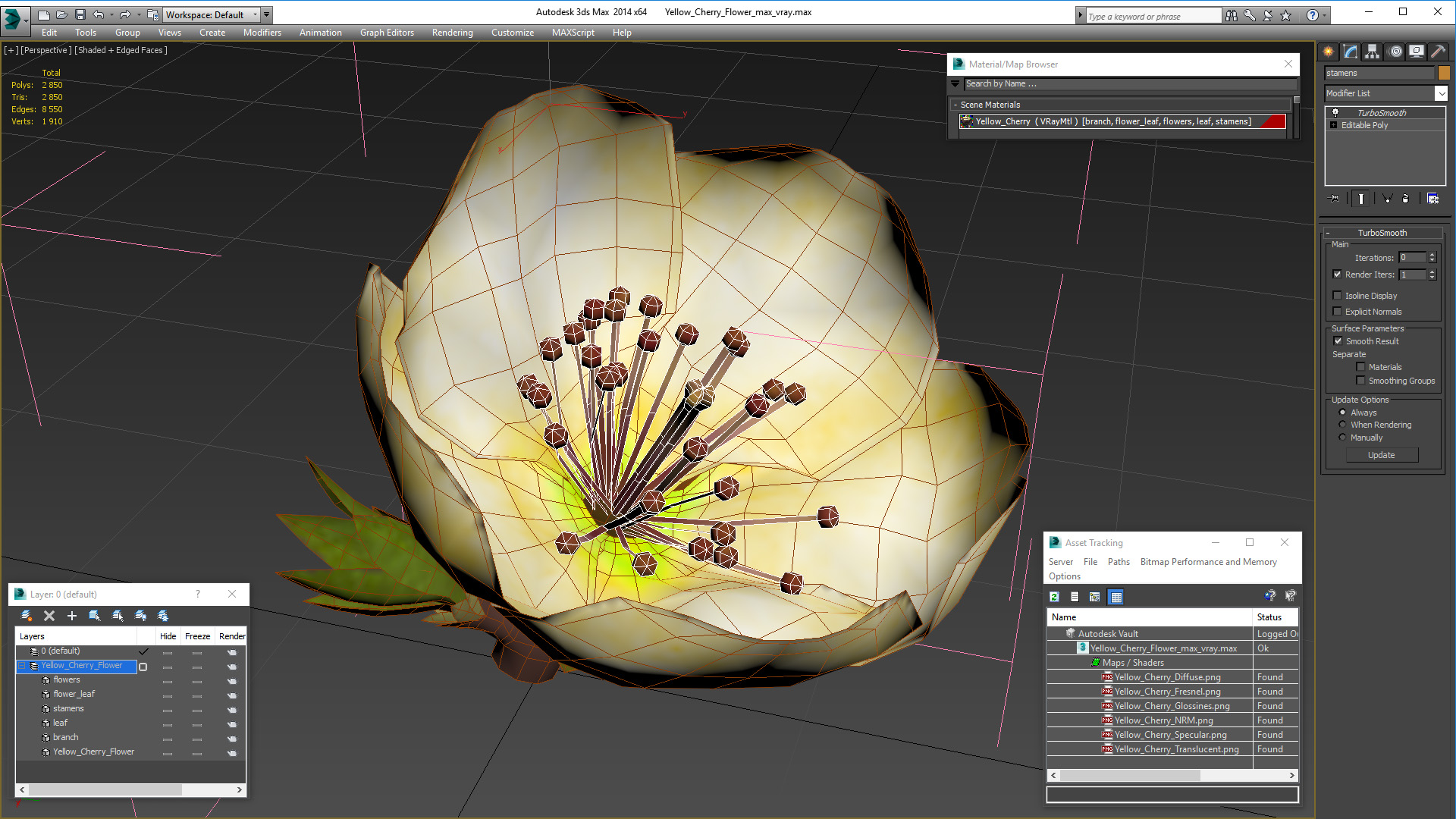 3D model Yellow Cherry Flower