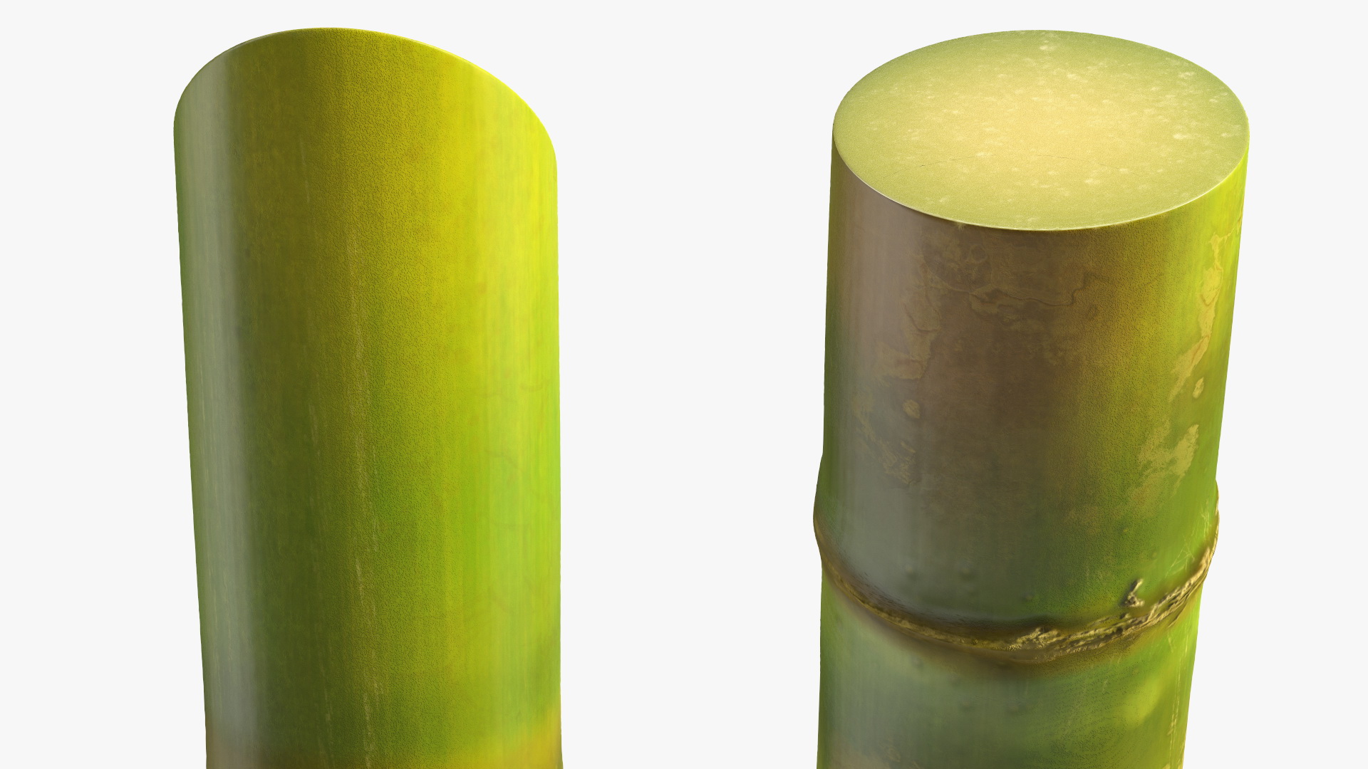 3D Green Sugarcane Stick