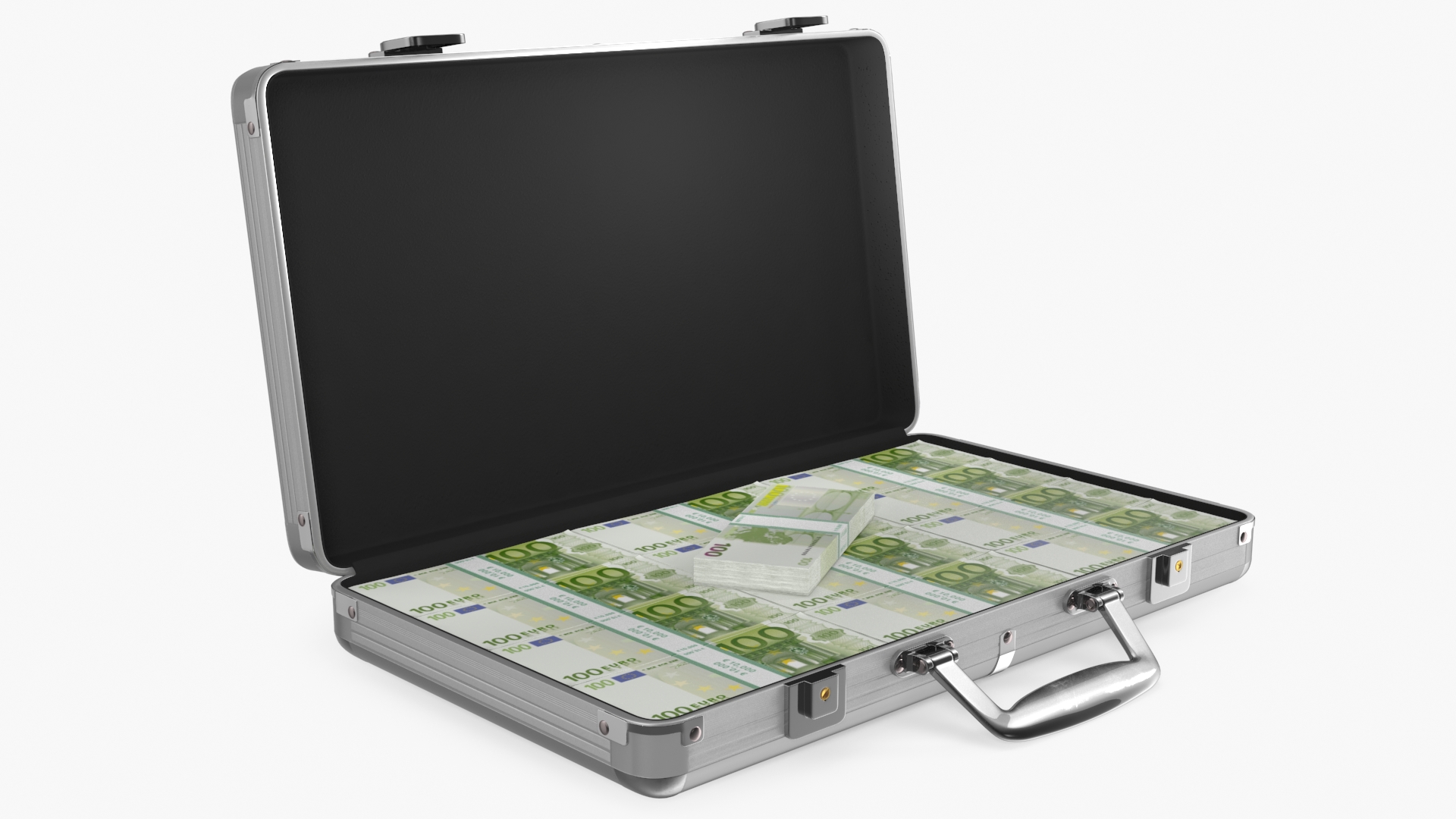 Aluminum Case Full of Euro Money 3D