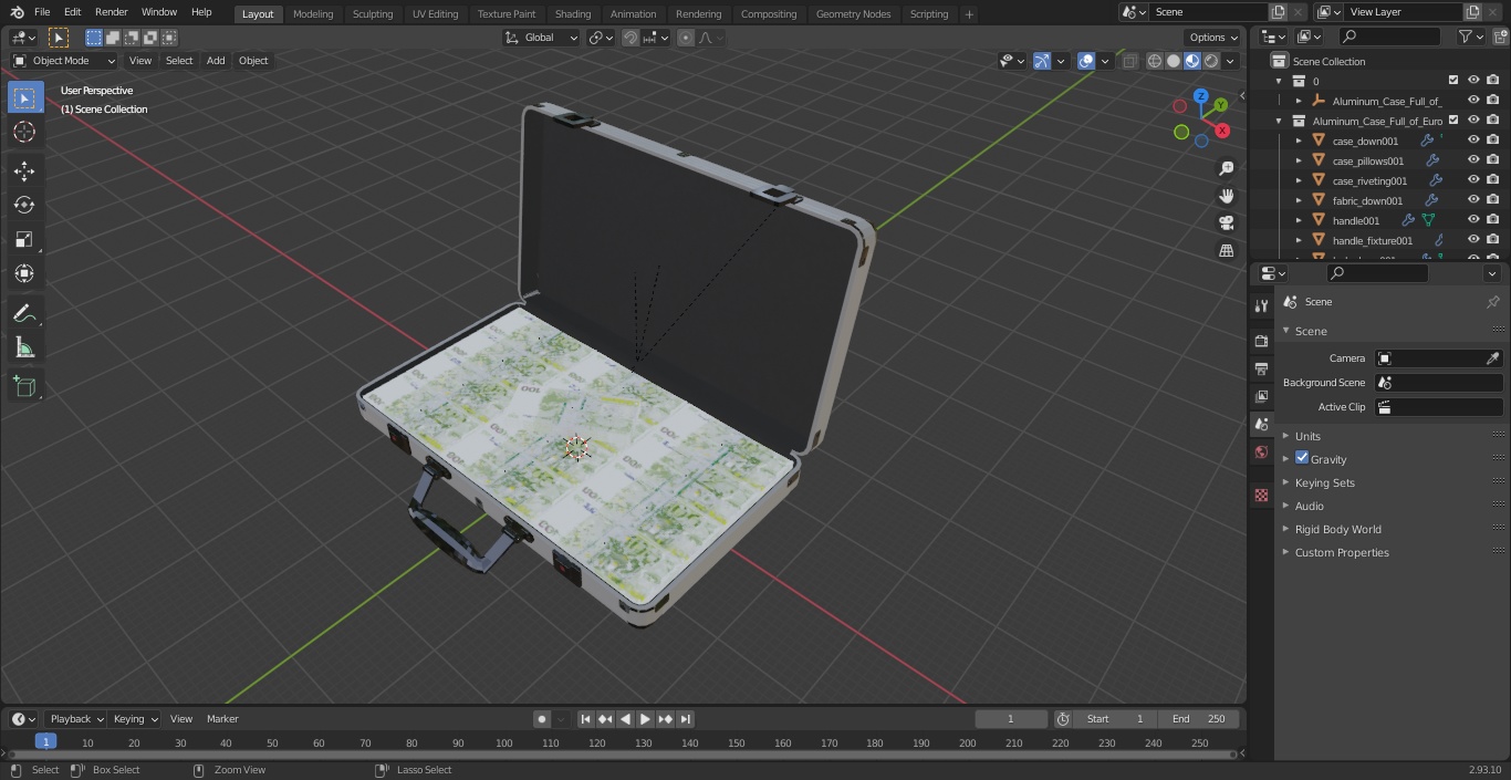 Aluminum Case Full of Euro Money 3D