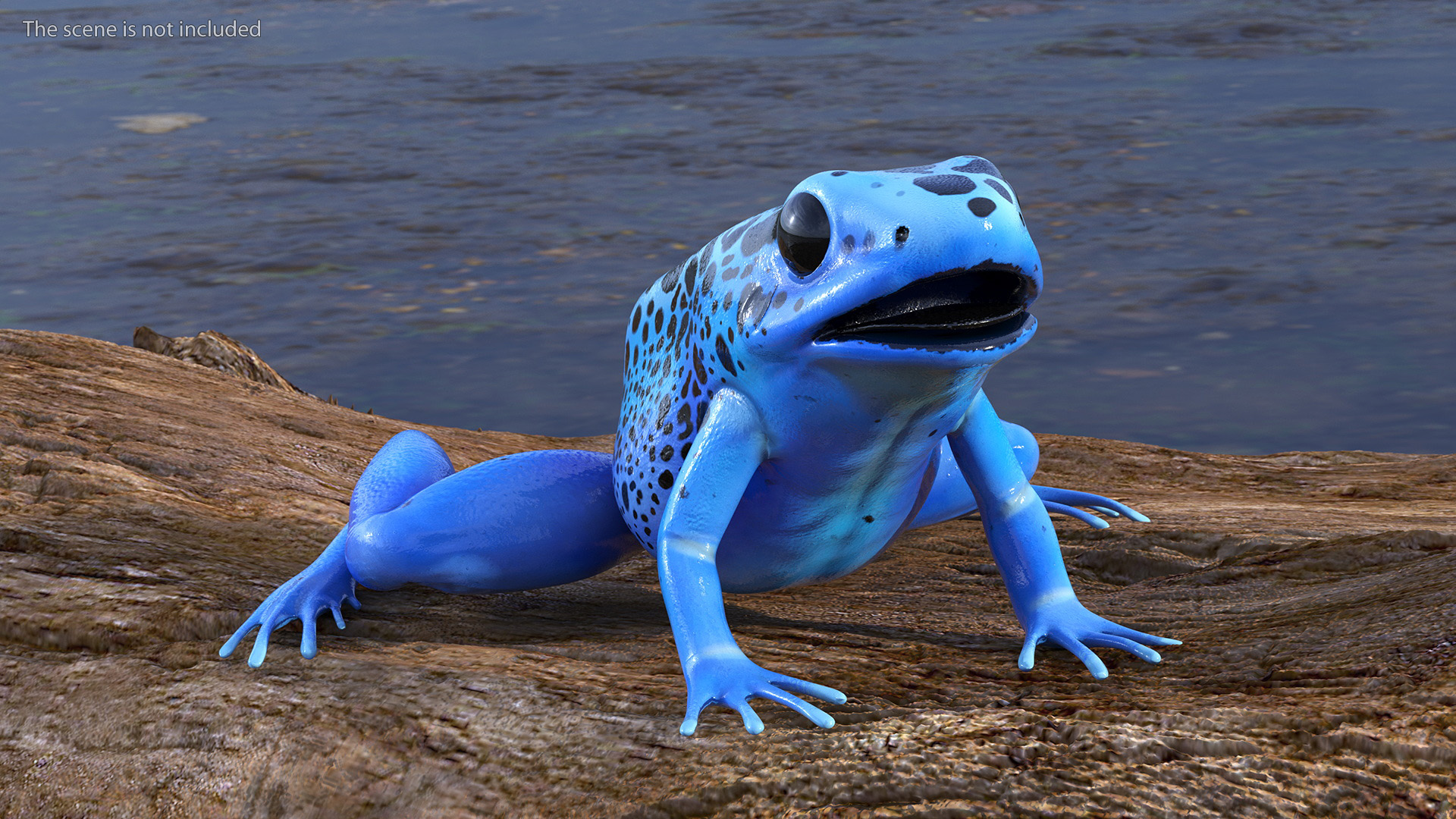 3D Blue Poison Dart Frog