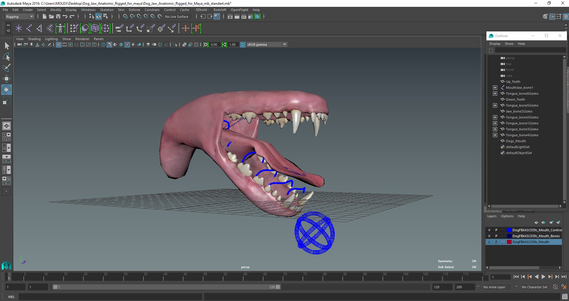 Dog Jaw Anatomic Rigged for Maya 3D