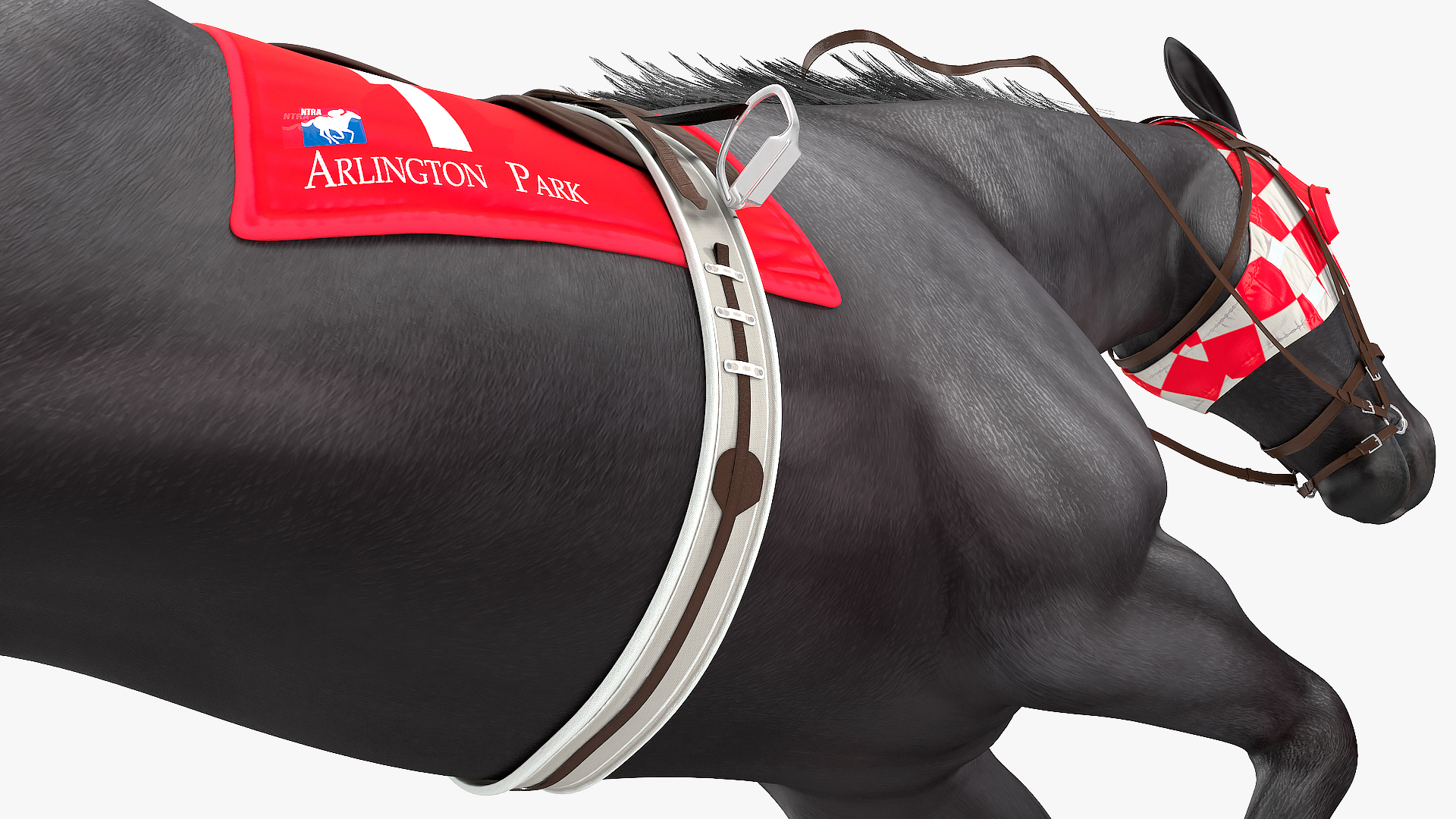 3D model Jumping Black Racing Horse Fur