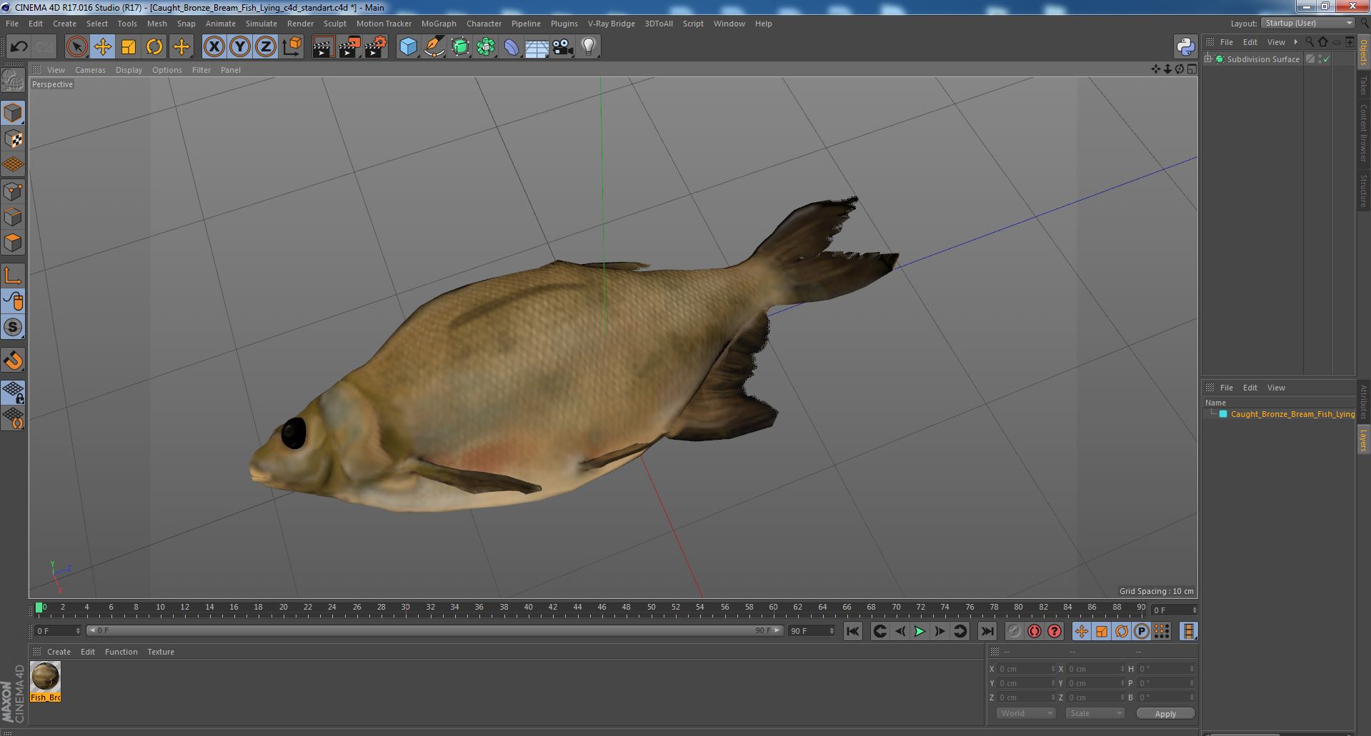 3D model Caught Bronze Bream Fish Lying