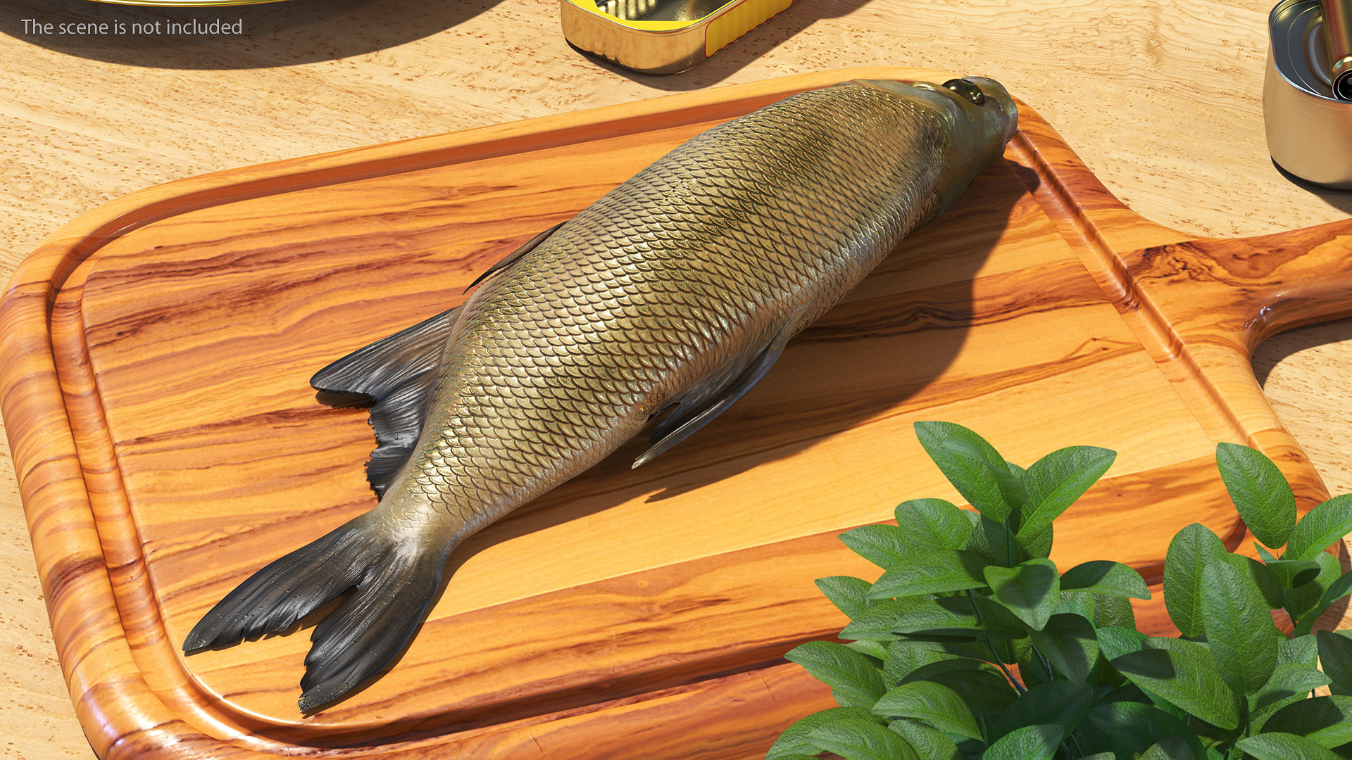 3D model Caught Bronze Bream Fish Lying