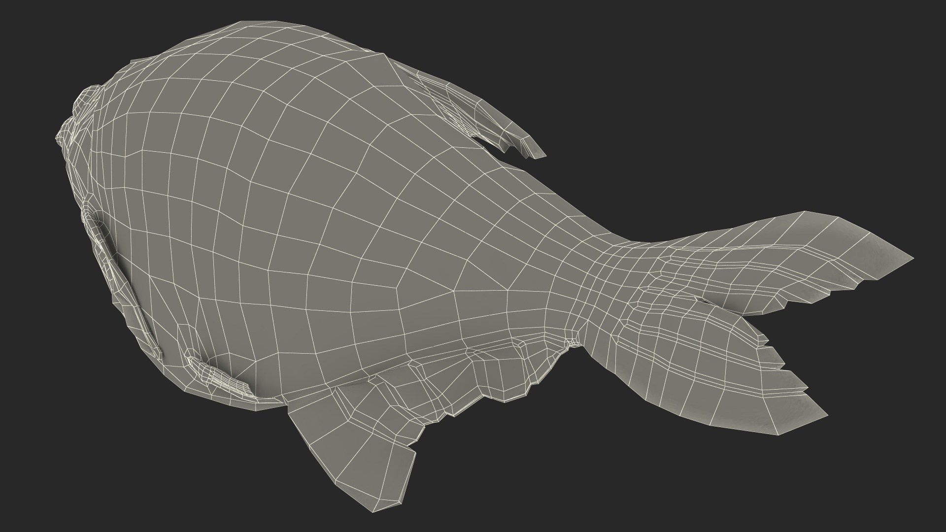 3D model Caught Bronze Bream Fish Lying