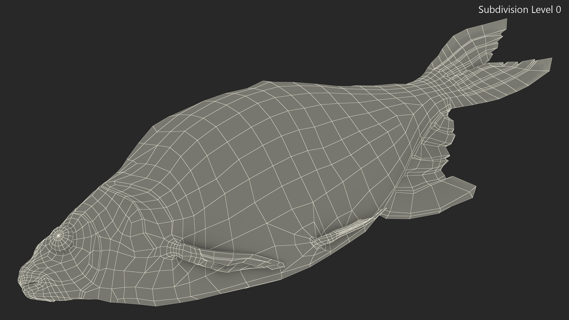 3D model Caught Bronze Bream Fish Lying