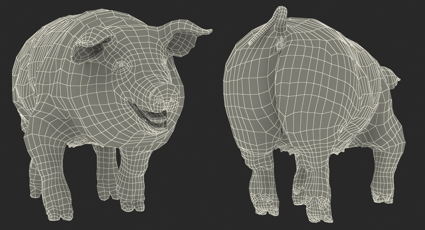 3D Pig Sow Landrace Walking Pose with Fur model