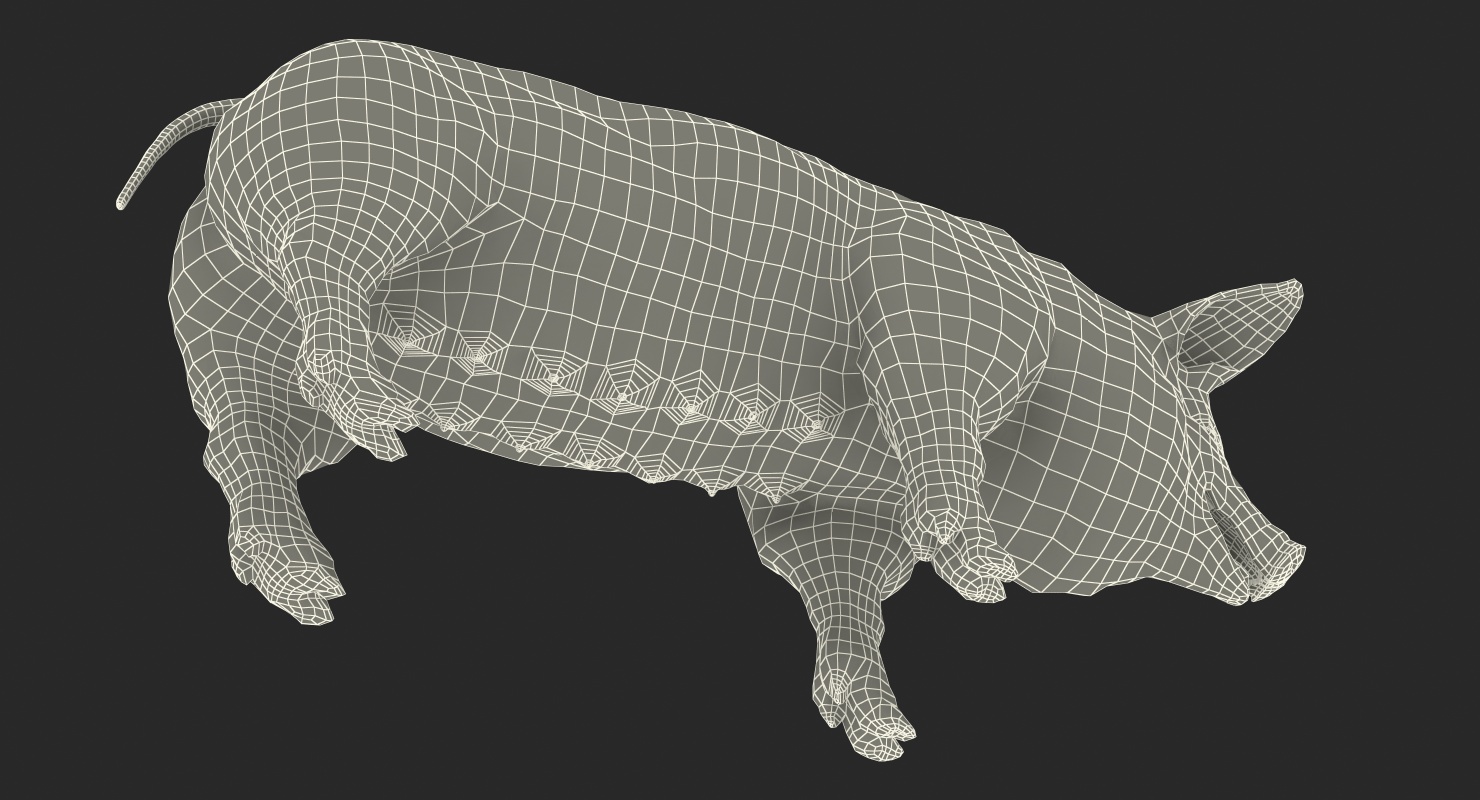 3D model Pig Sow Peitrain with Fur