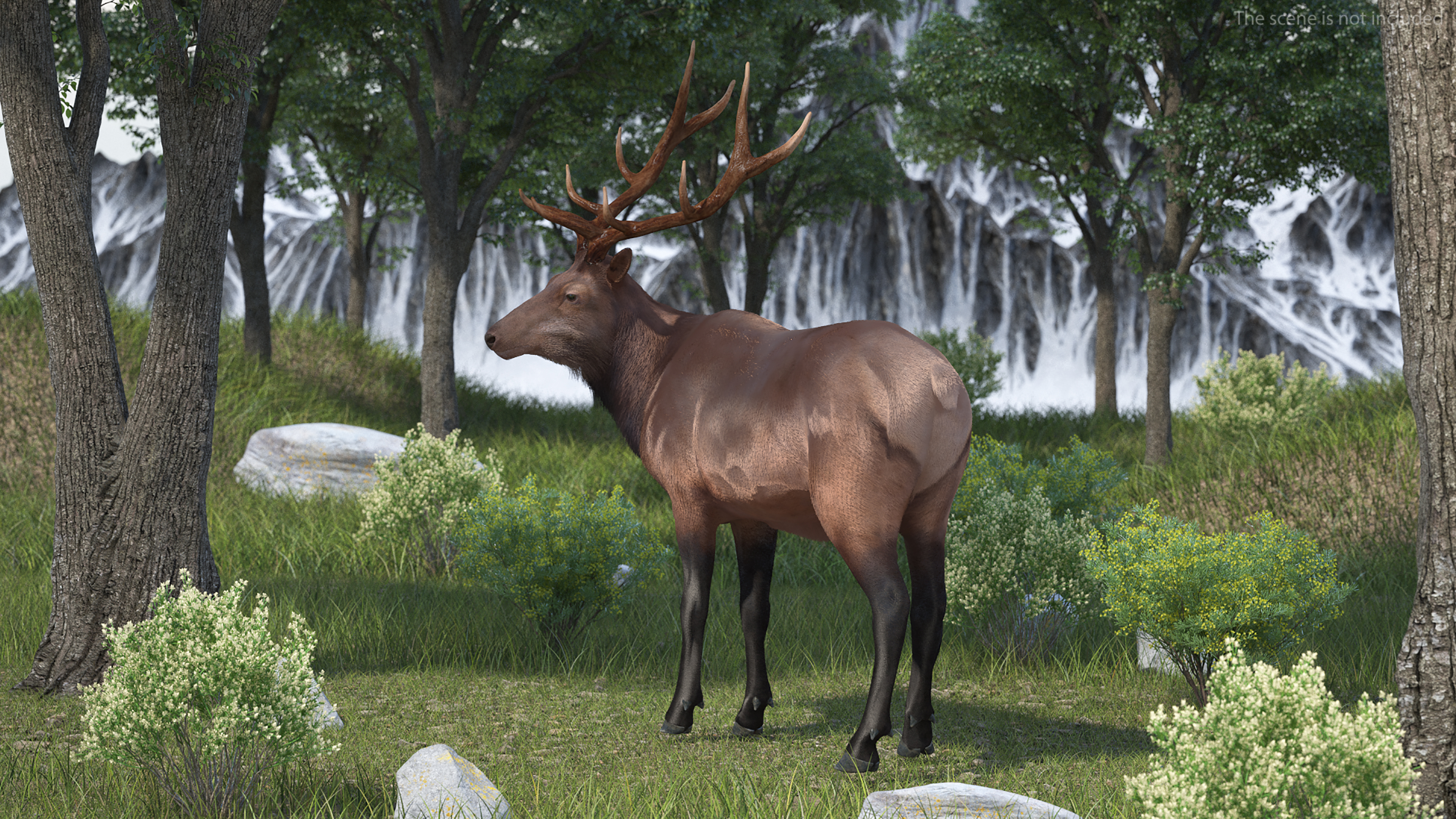 3D Realistic Elk Standing Pose with Fur