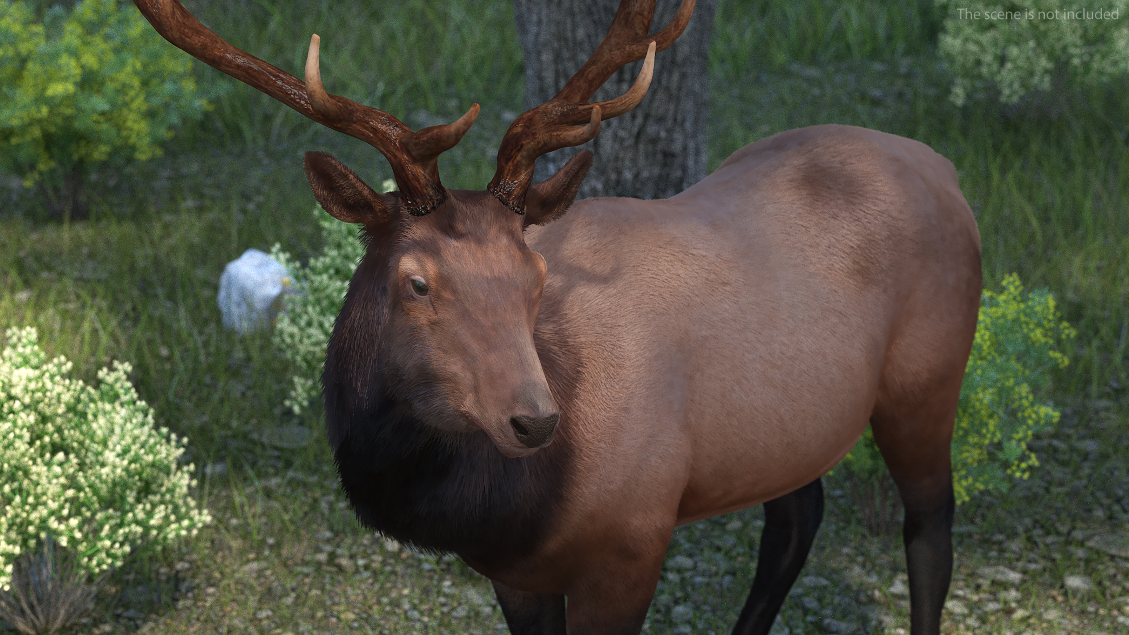 3D Realistic Elk Standing Pose with Fur