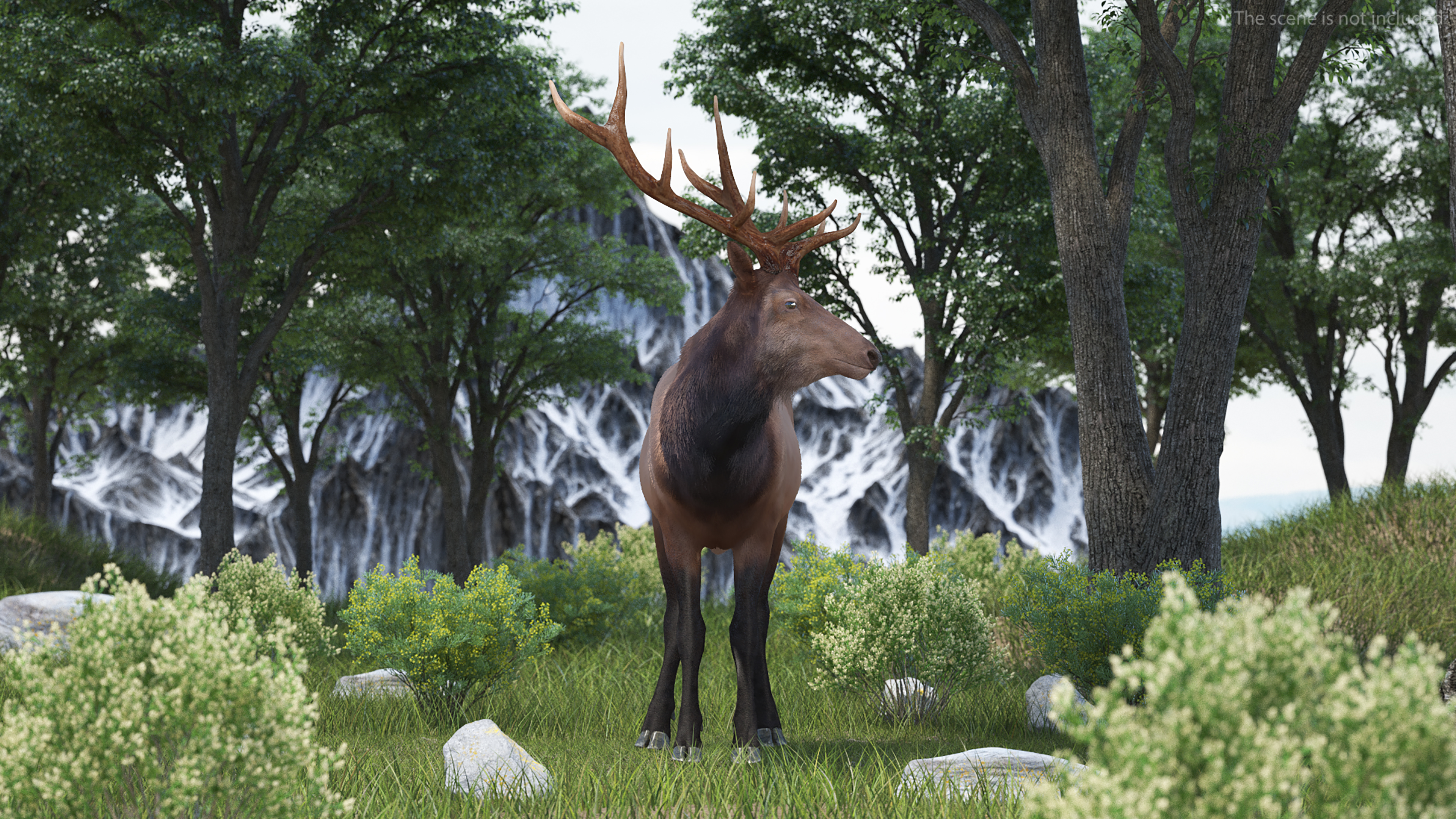 3D Realistic Elk Standing Pose with Fur