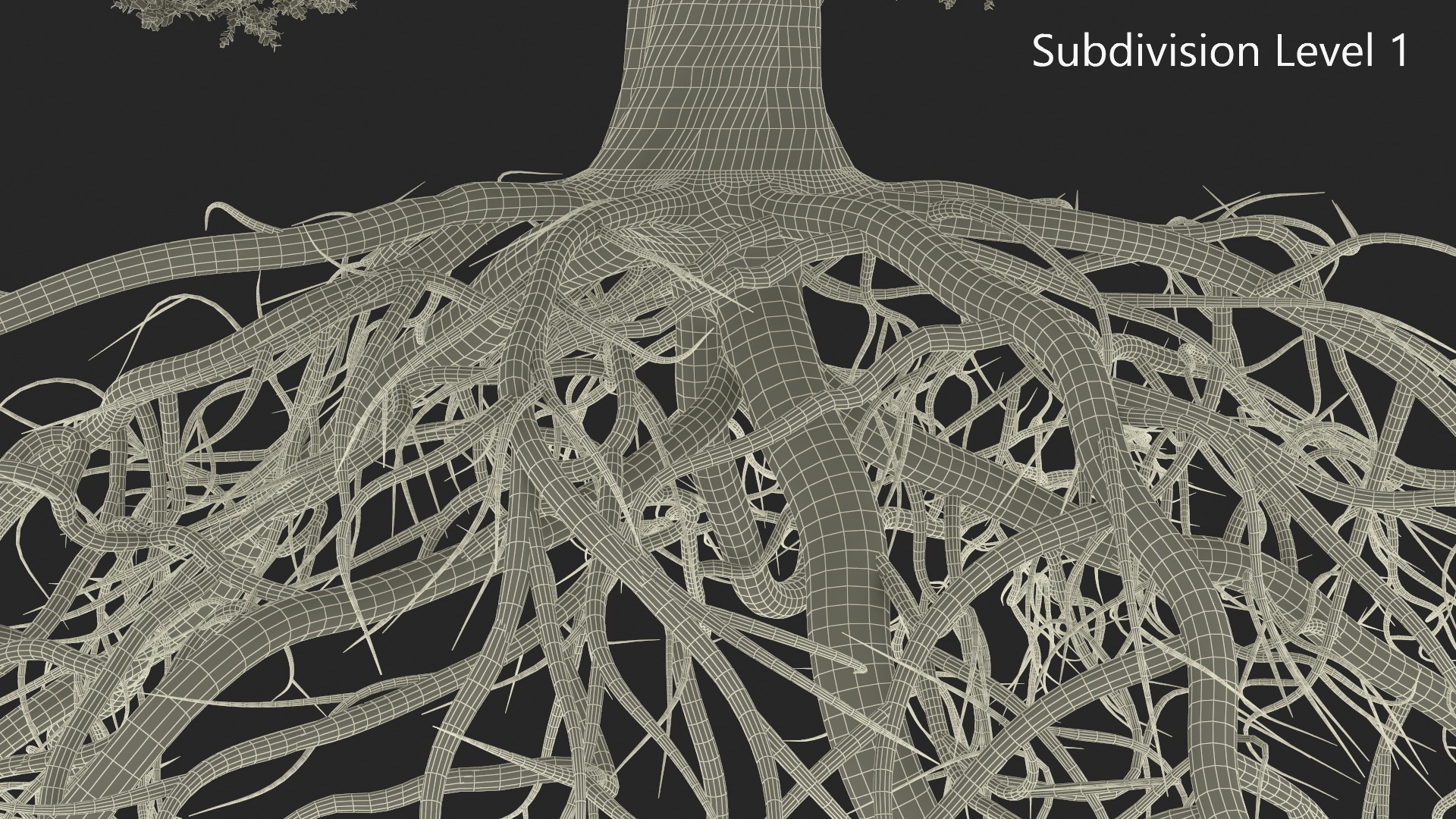 Oak with Roots 3D model