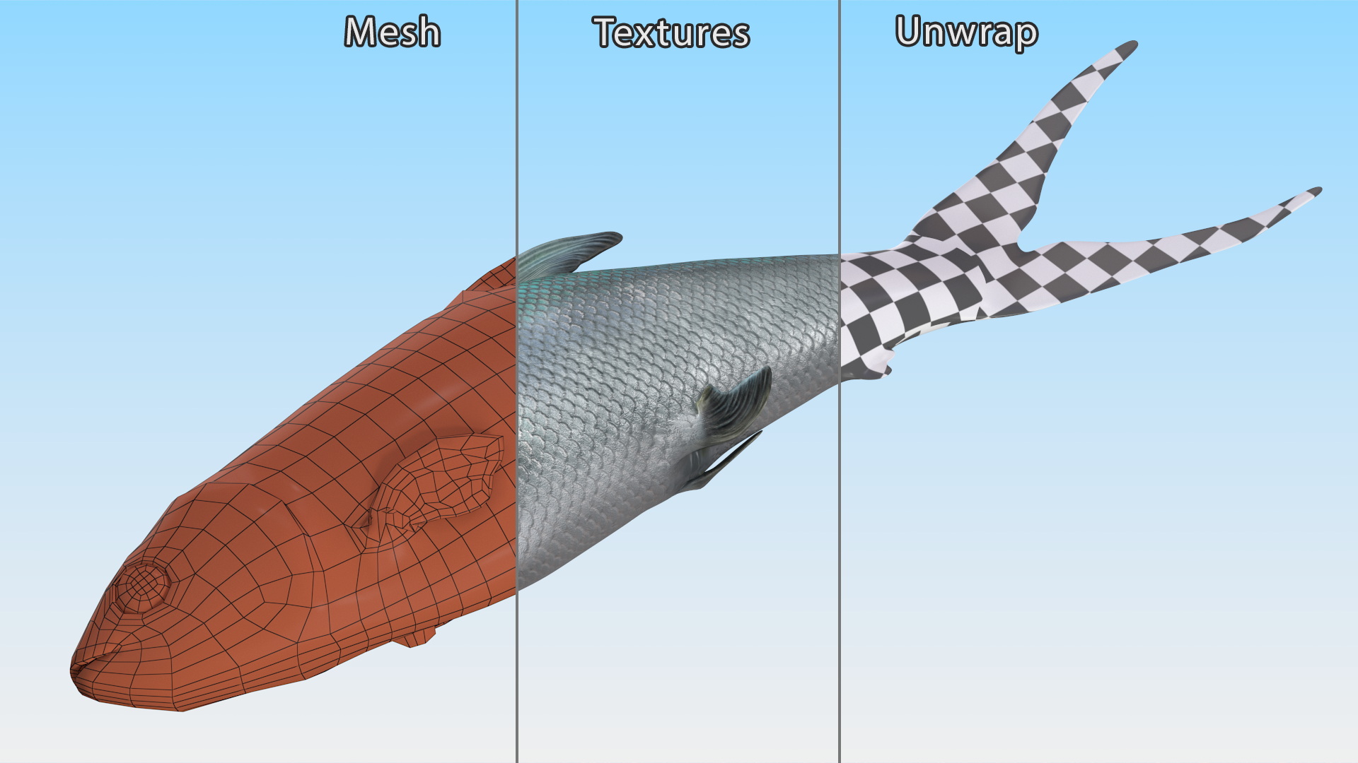 3D model Raw Bangus