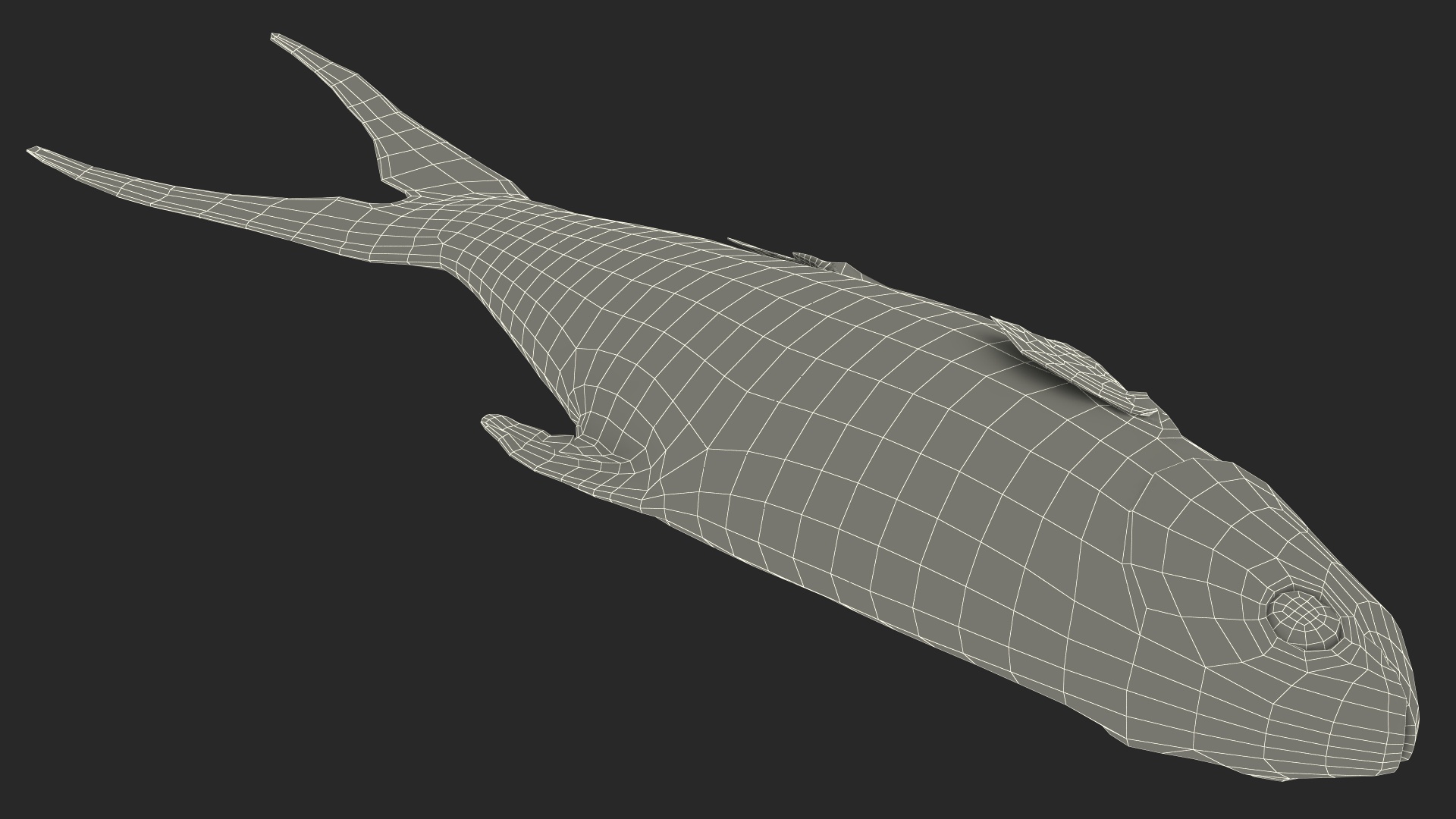 3D model Raw Bangus