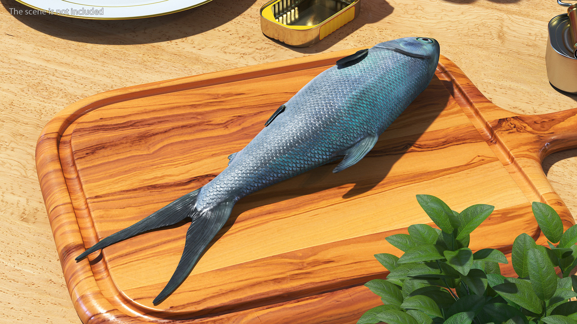 3D model Raw Bangus