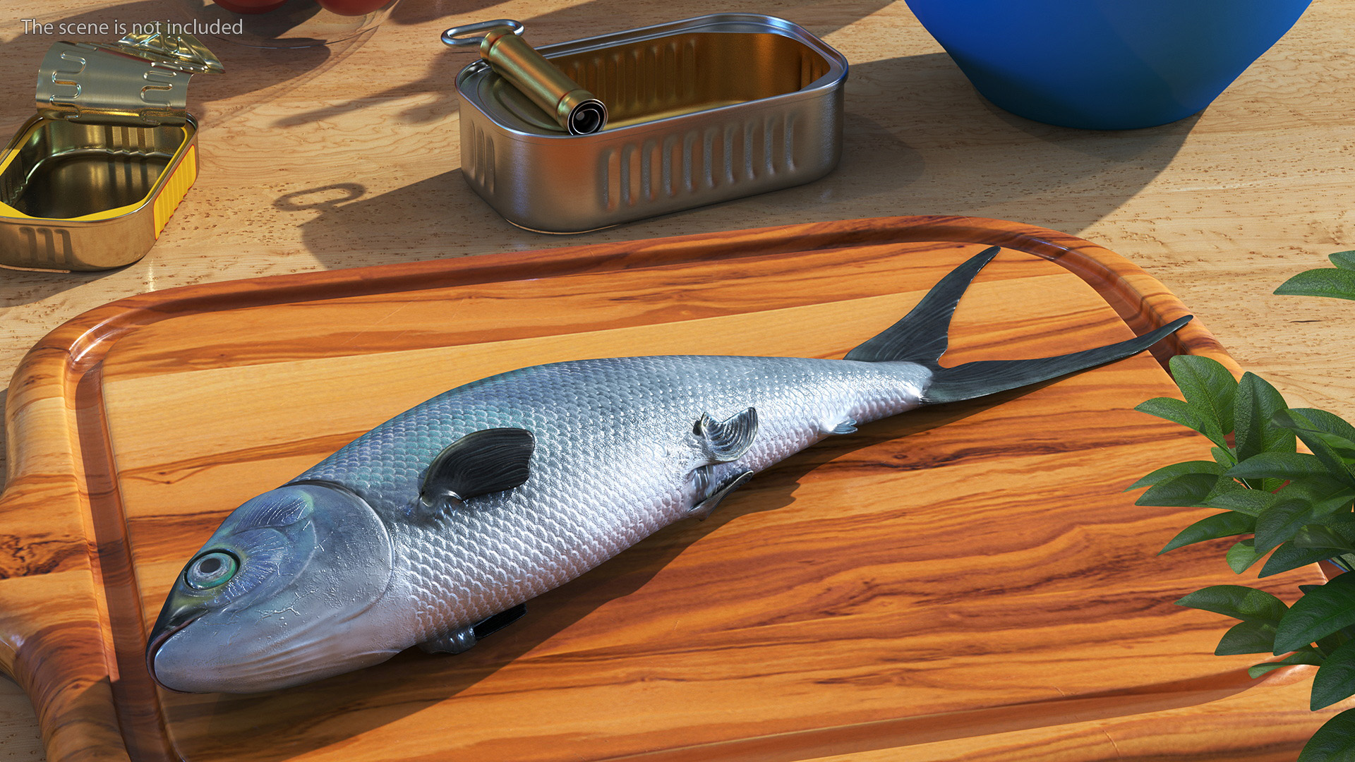 3D model Raw Bangus